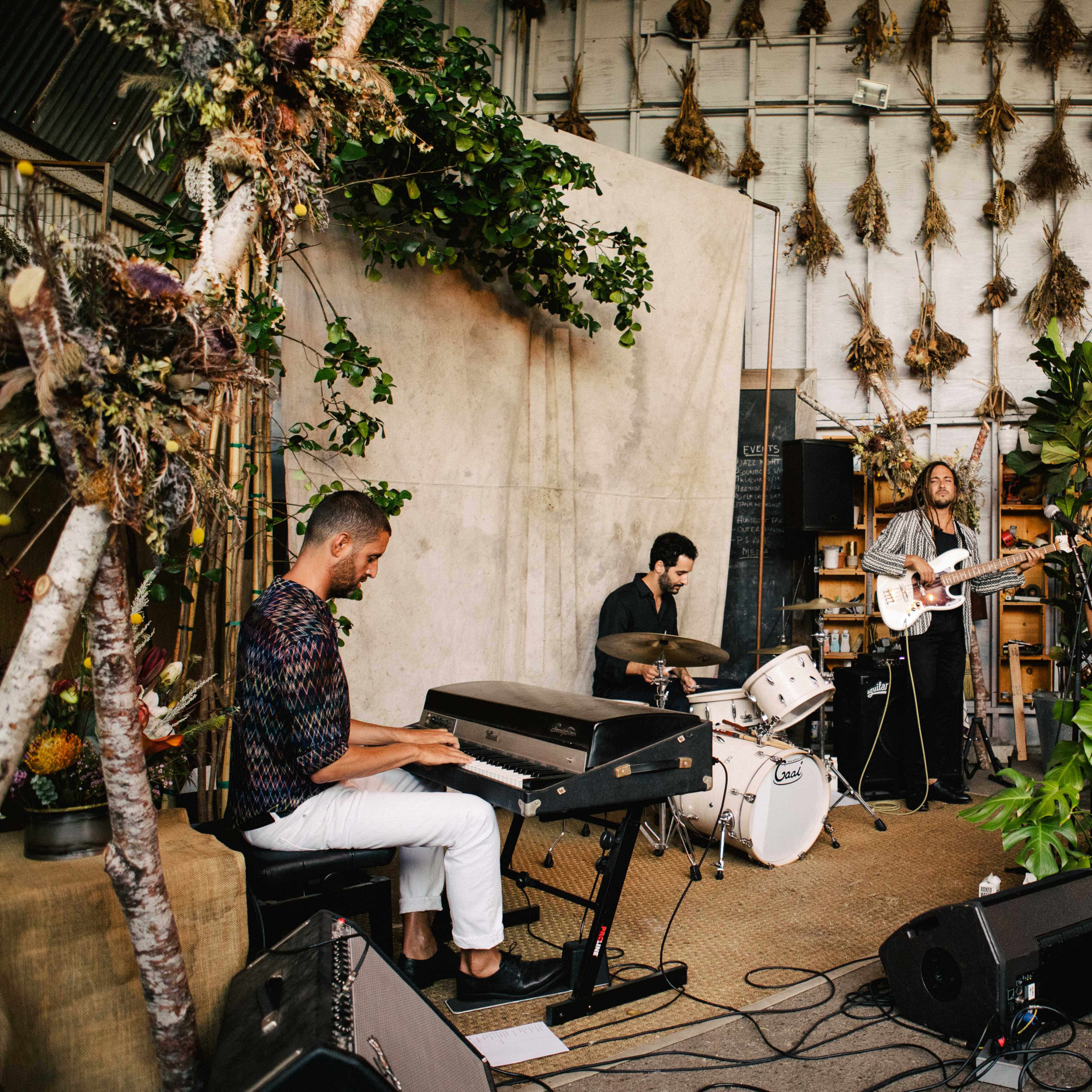 A jazz band performs on a stage adorned with plants and a chalkboard backdrop in a rustic indoor venue.