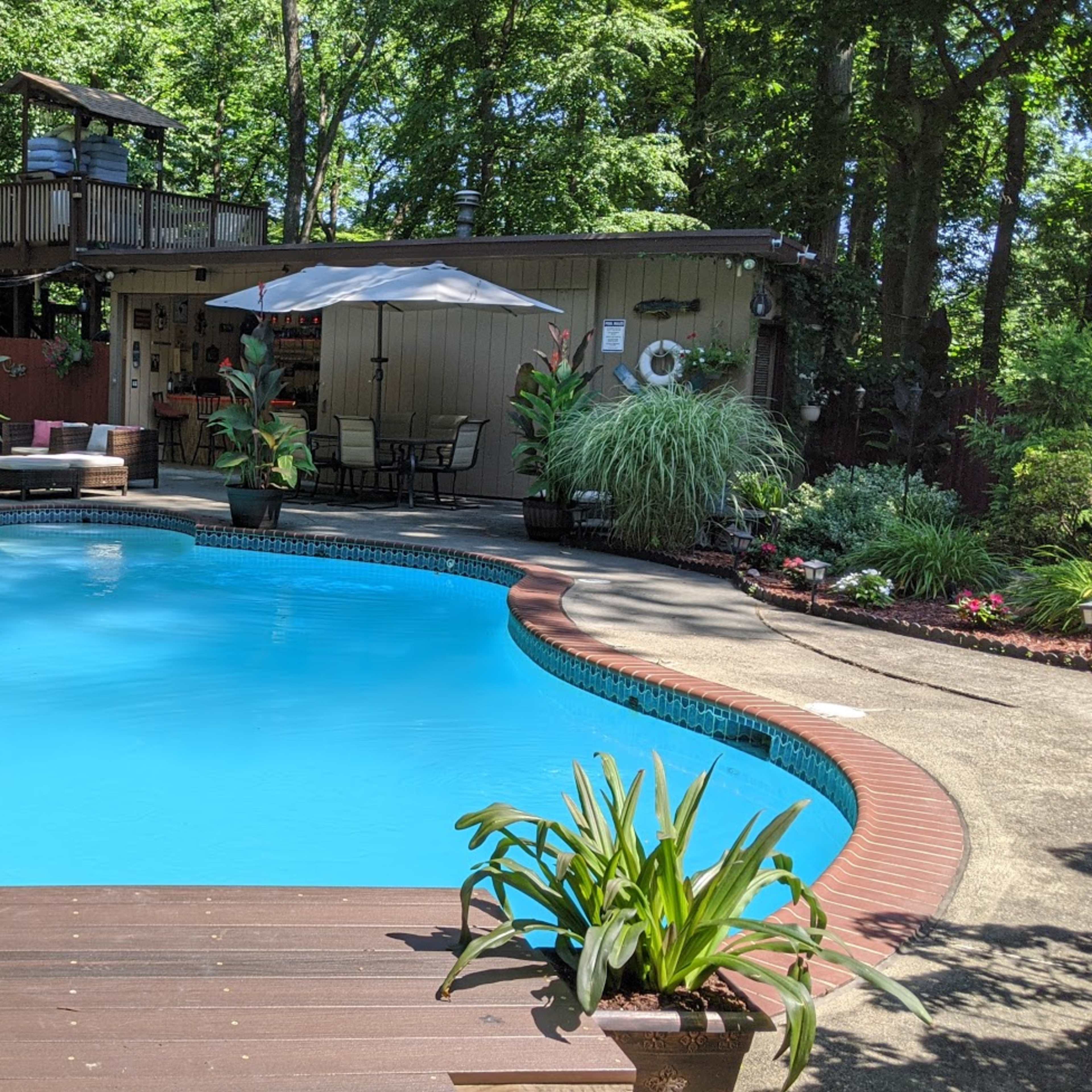 A backyard with a blue swimming pool surrounded by lush greenery, flower beds, and patio furniture.