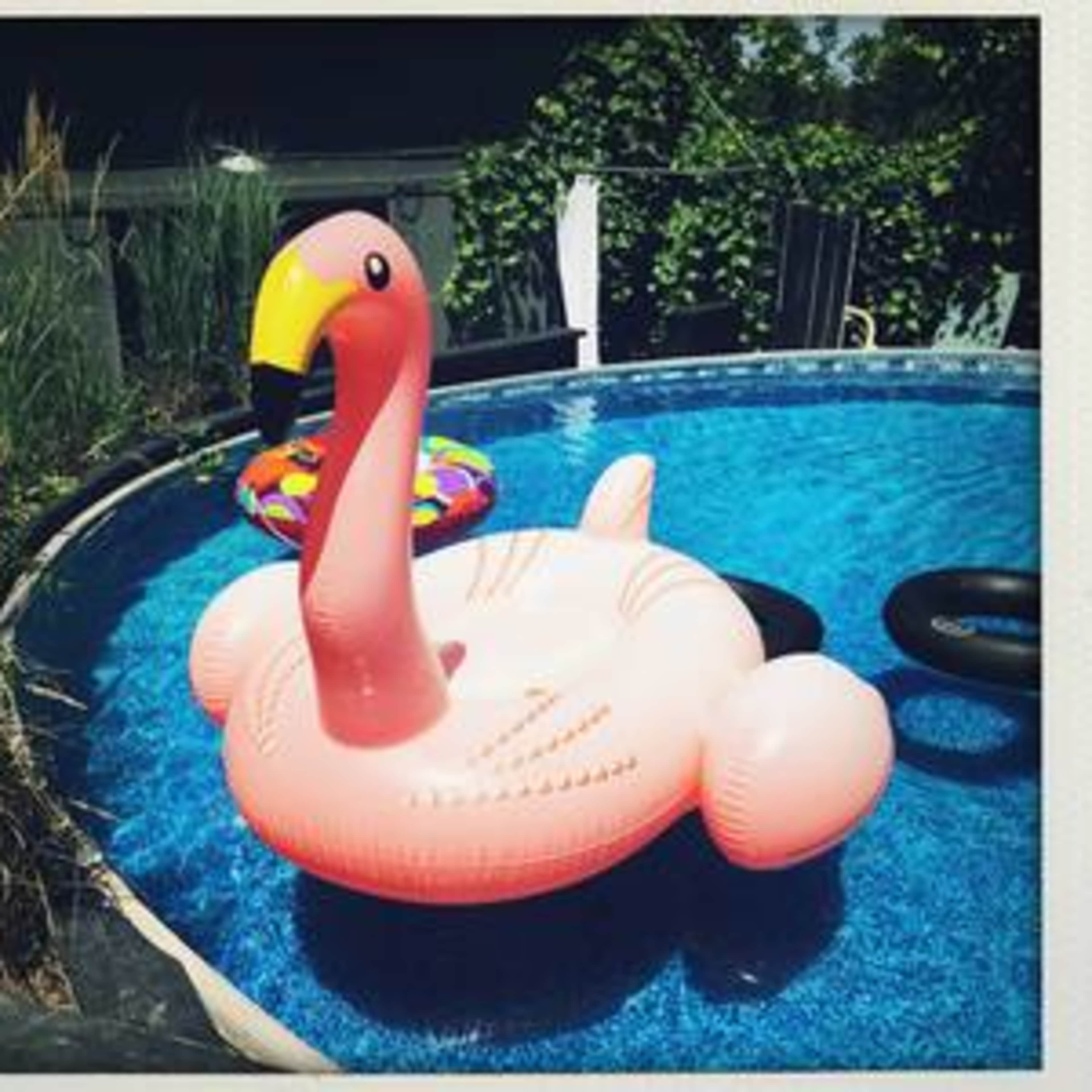 A pink flamingo inflatable float is placed in a circular swimming pool surrounded by greenery.