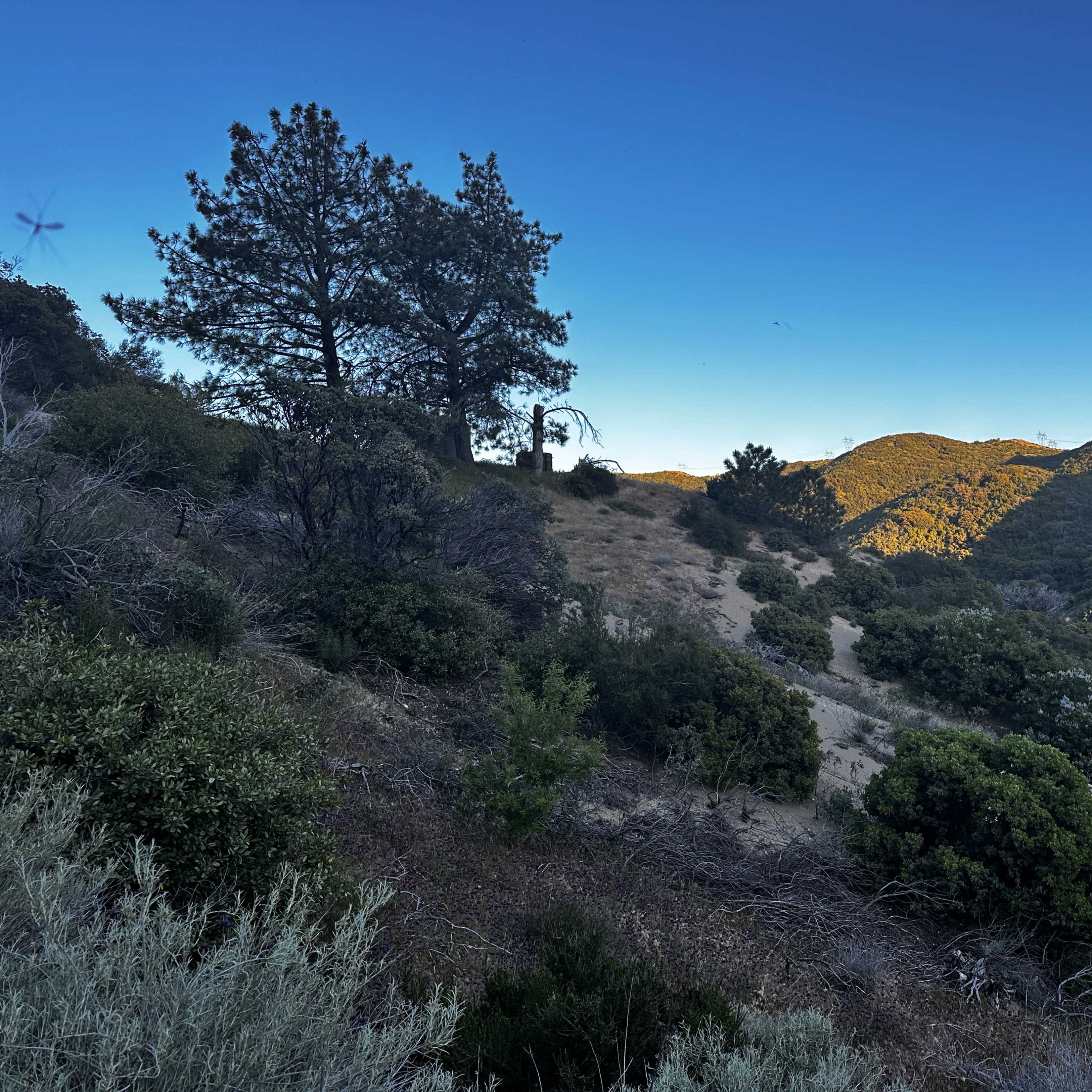 Wild Sage Hill - Cinematic Wilderness Film Location Image in Leona Valley, Leona Valley, CA