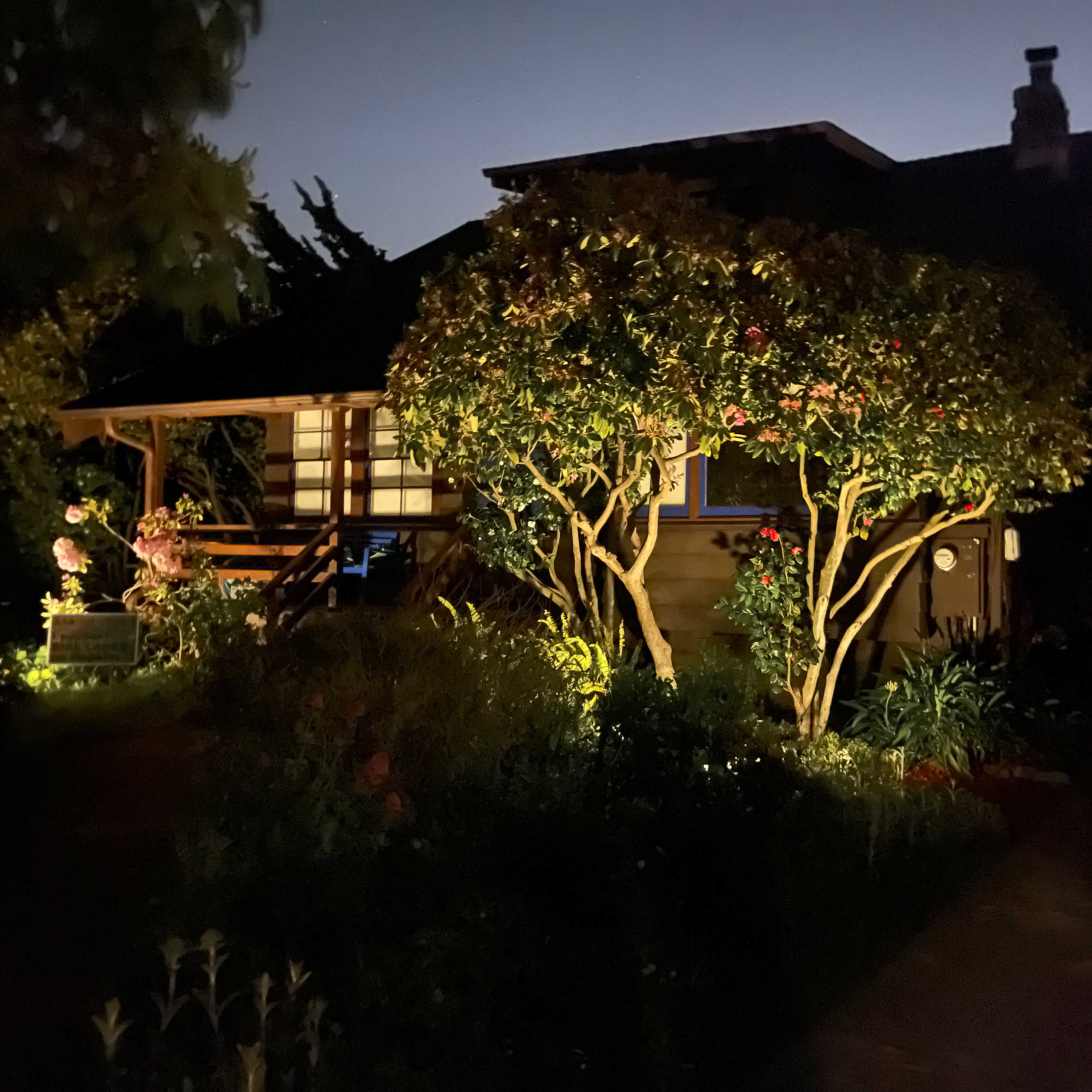 A house is illuminated at night by soft garden lights, highlighting the trees and flowers in the yard.