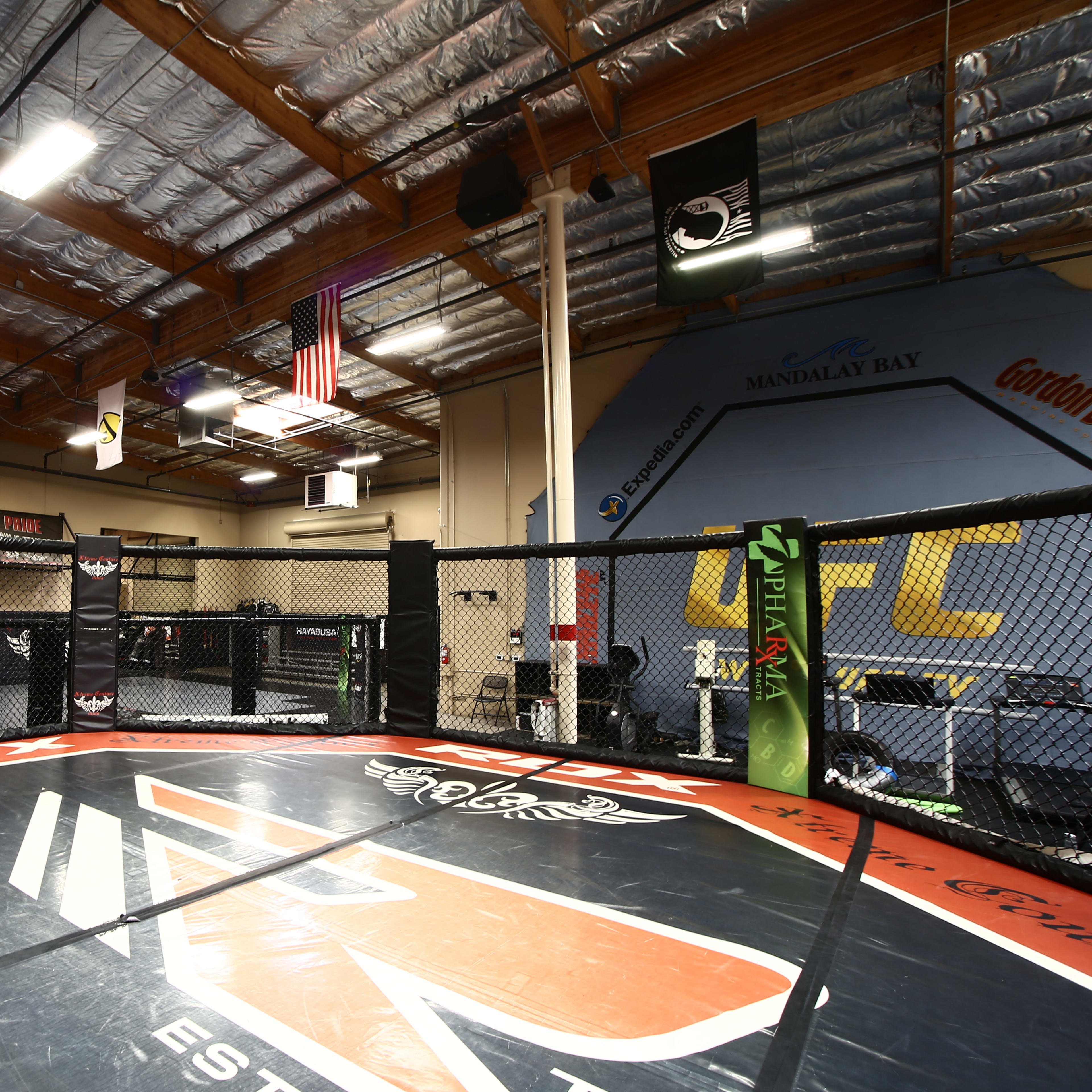 An interior of a mixed martial arts gym featuring a training cage, workout equipment, and various banners hanging from the ceiling.