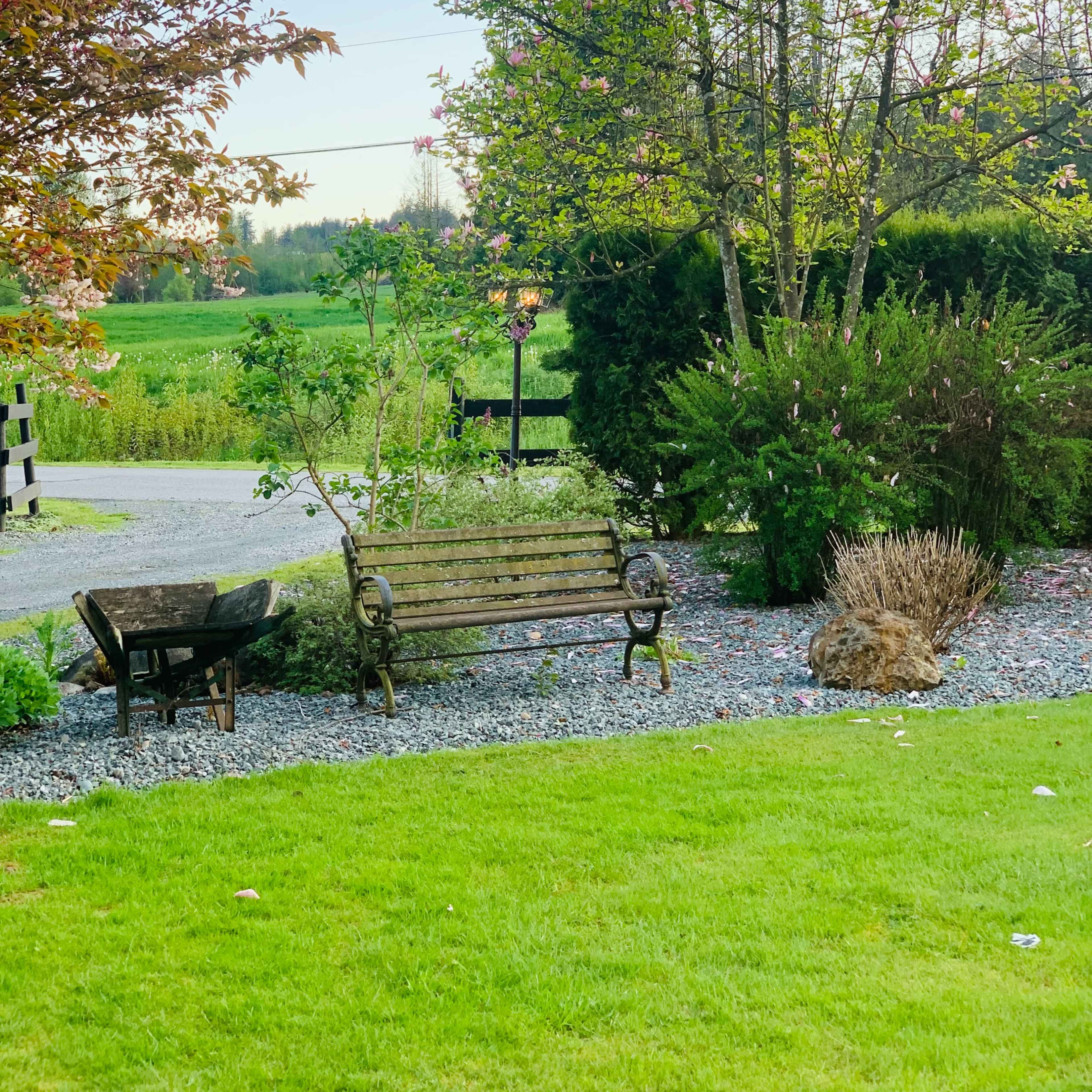 A wooden bench and a chair are positioned on a gravel area surrounded by greenery and flowering trees.