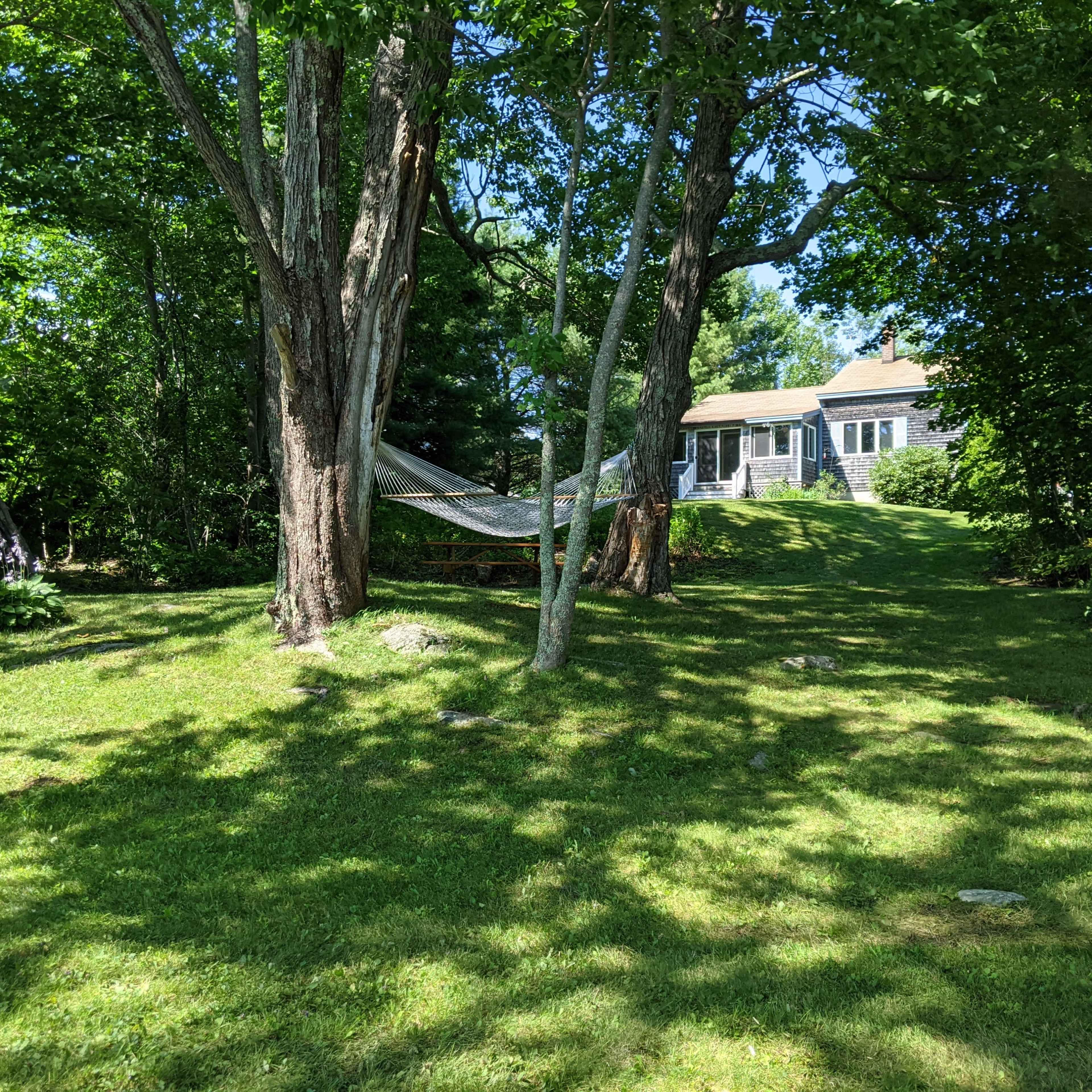 A house with a porch is situated on a grassy area surrounded by large trees and a hammock.