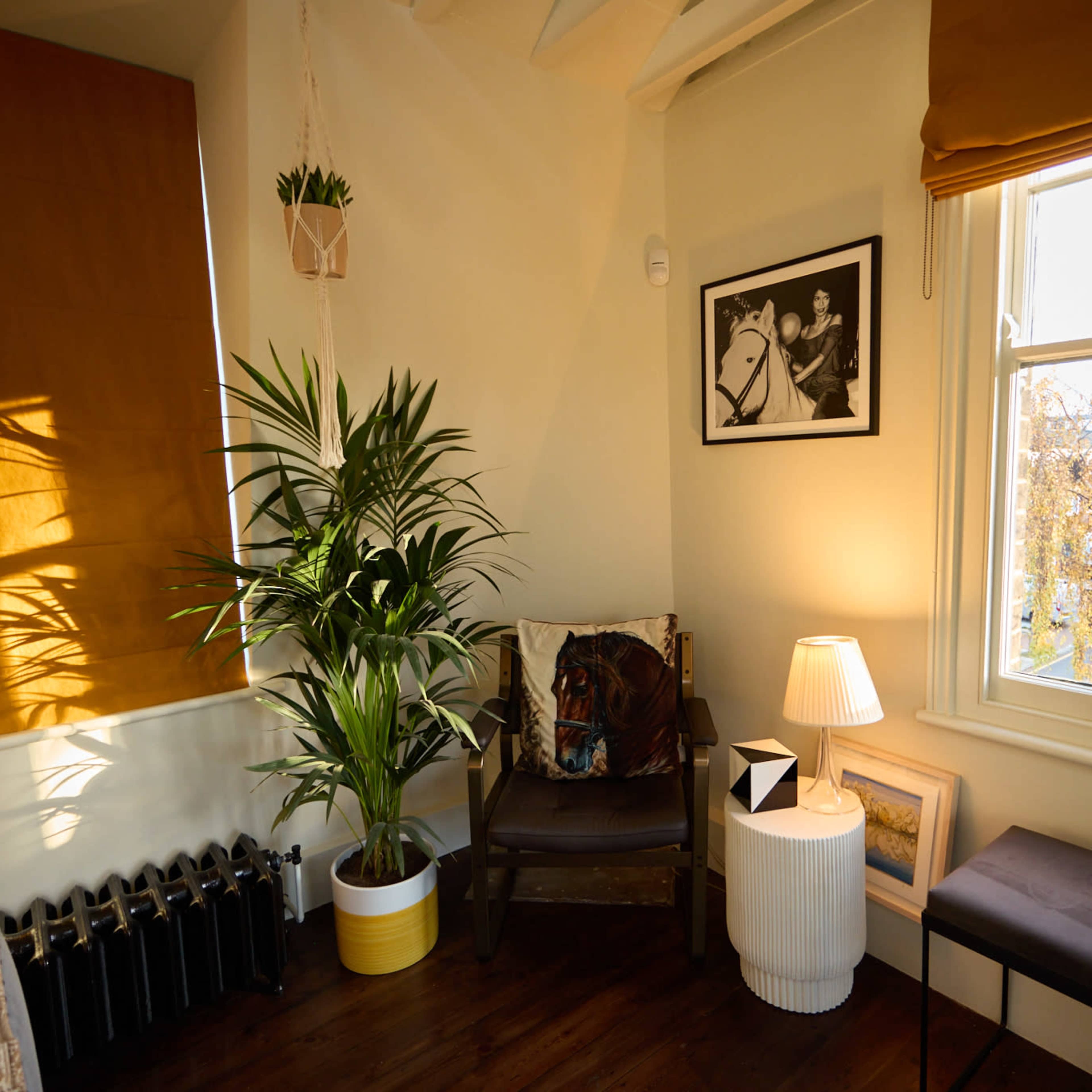 A cozy corner of a room with a potted plant, a chair, a lamp, and a framed photo on the wall, illuminated by natural light from the window.