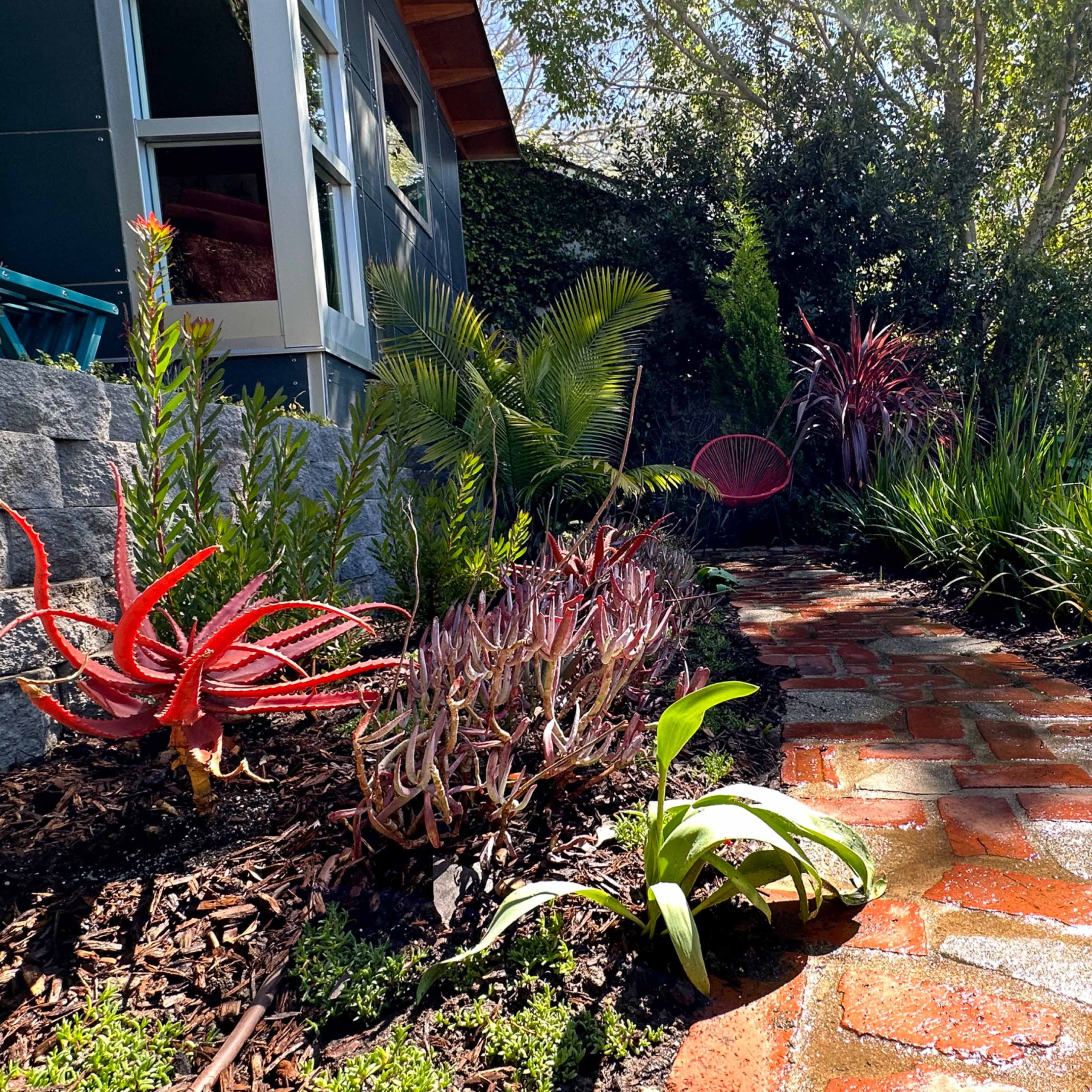 A brick pathway winds through a garden featuring various plants and vibrant foliage next to a house.