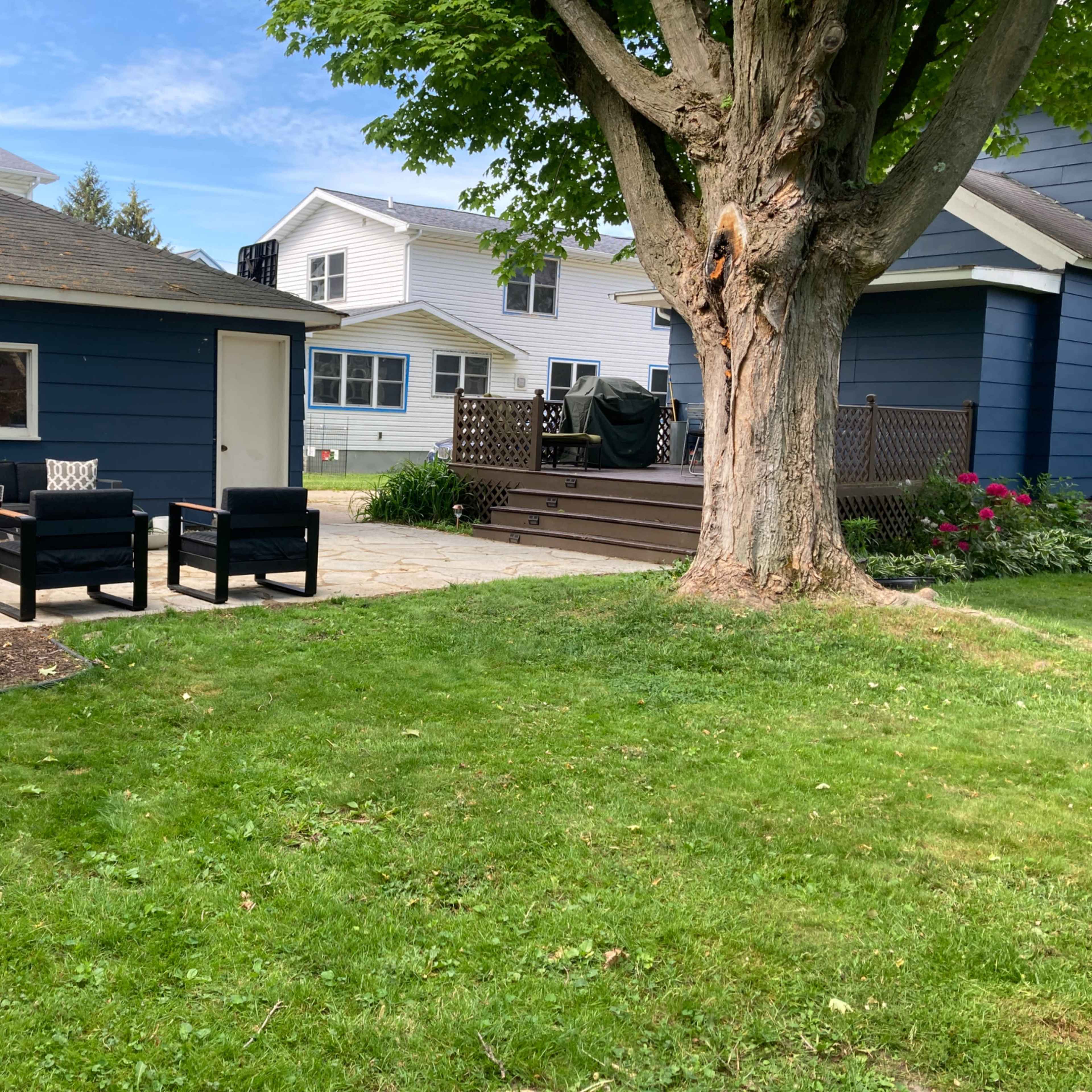 A backyard with a patio area featuring two chairs, a deck, and a large tree.