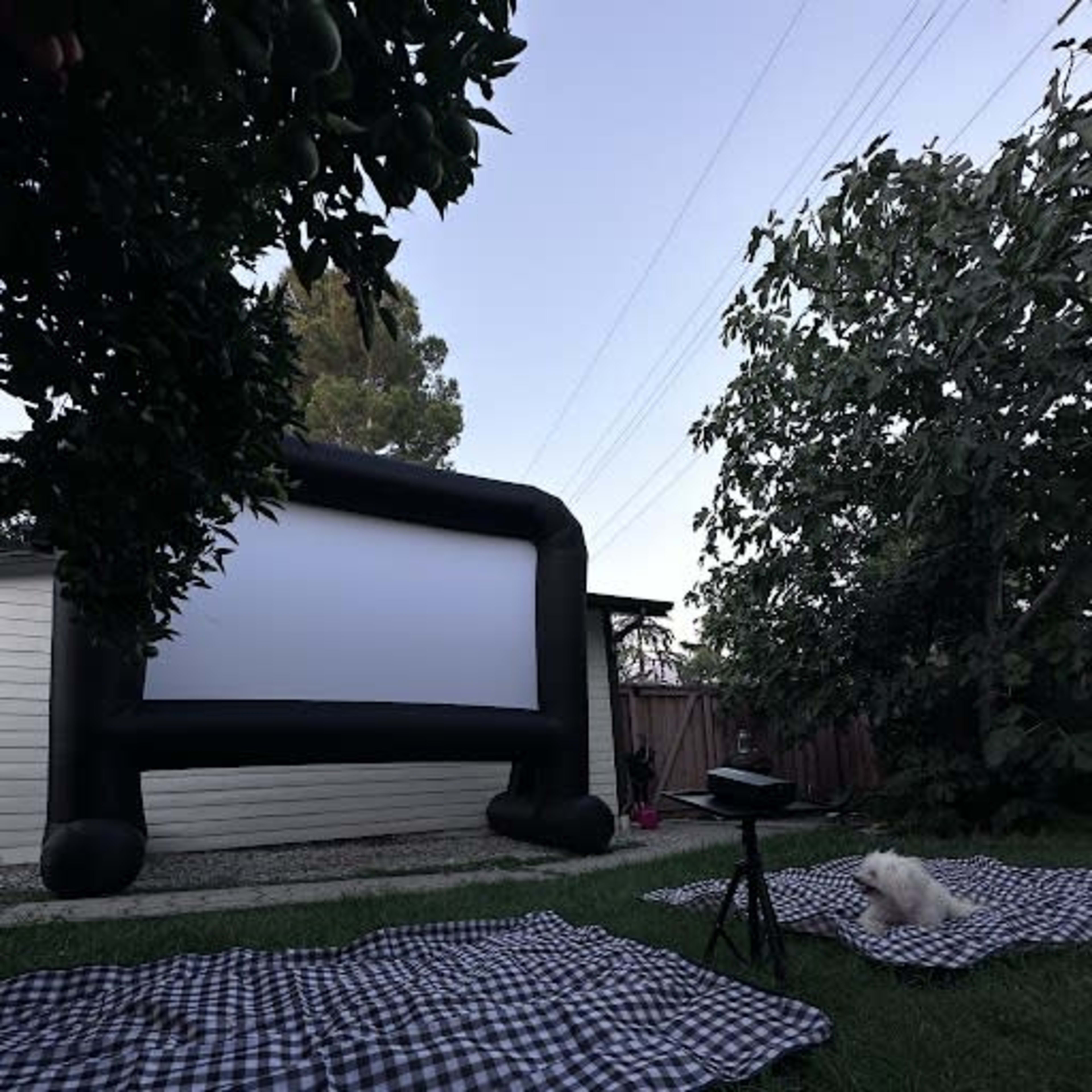 An inflatable movie screen is set up in a backyard, with checkered blankets spread out on the grass and a small dog sitting nearby.