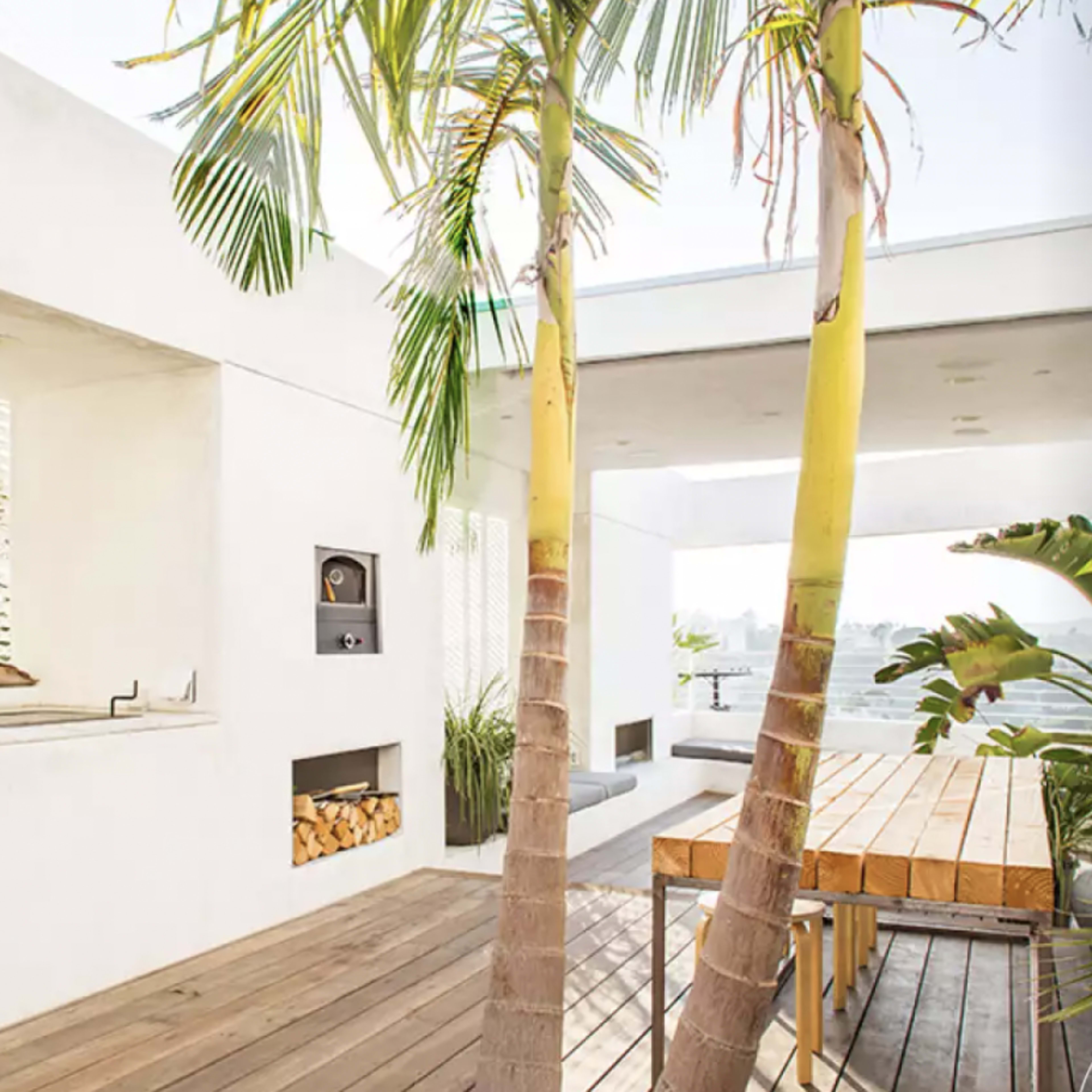 A modern outdoor space featuring a minimalist kitchen area with a grill, a wooden dining table, and tall palm trees.