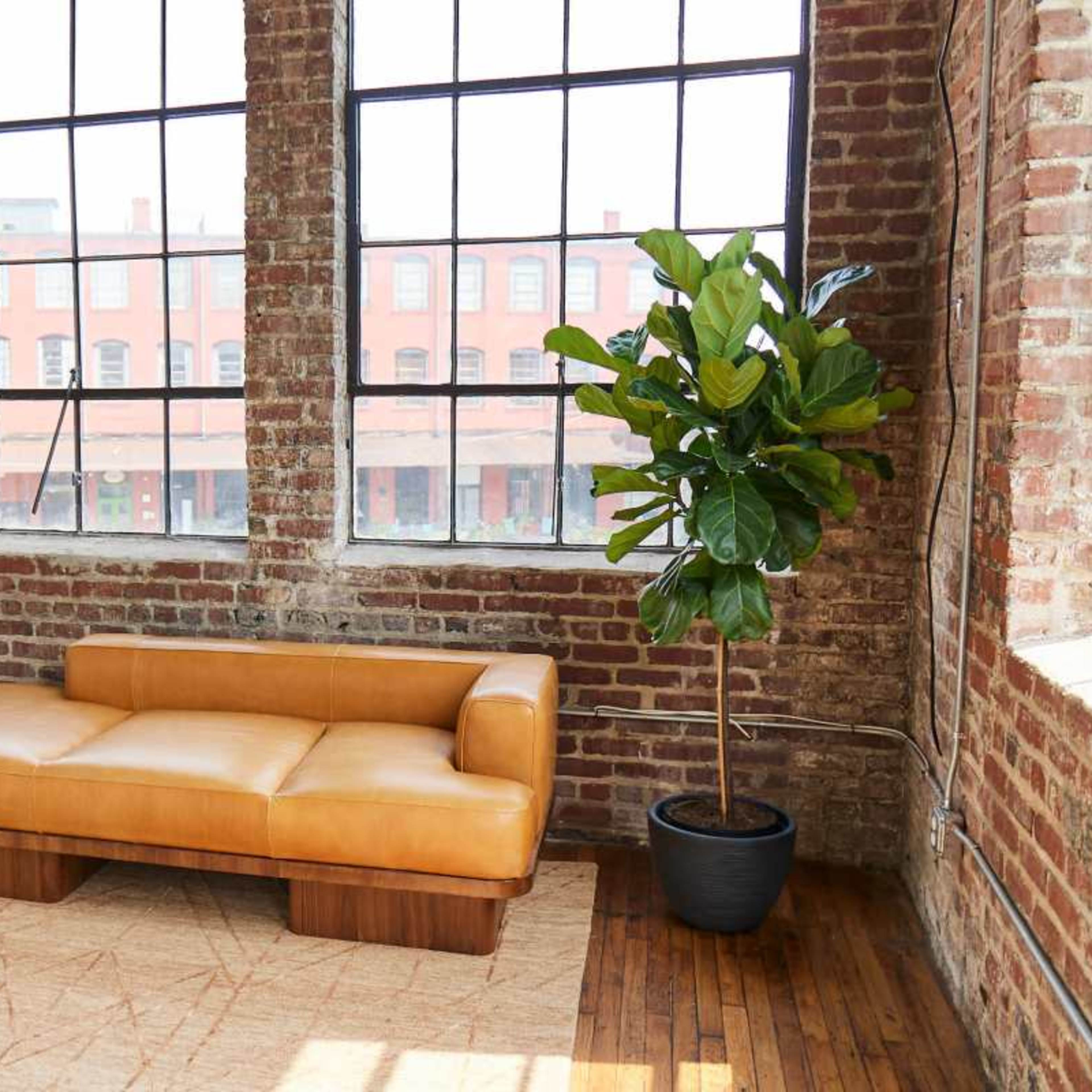 A modern interior with a brown leather sofa, a tall potted plant, and large windows overlooking a cityscape, all set against exposed brick walls.