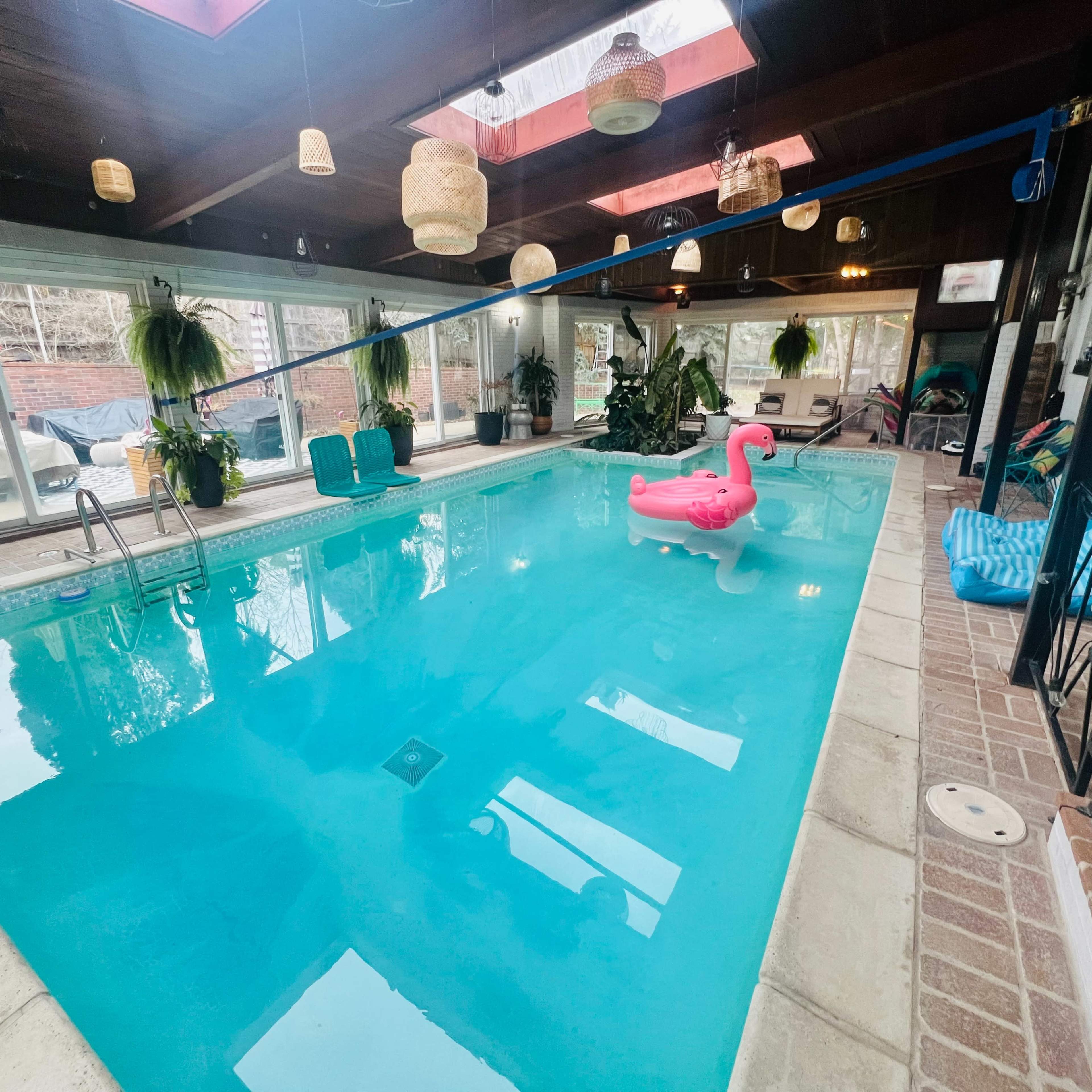 Tropical Indoor Swimming Oasis Image in Hampden South, Denver, CO
