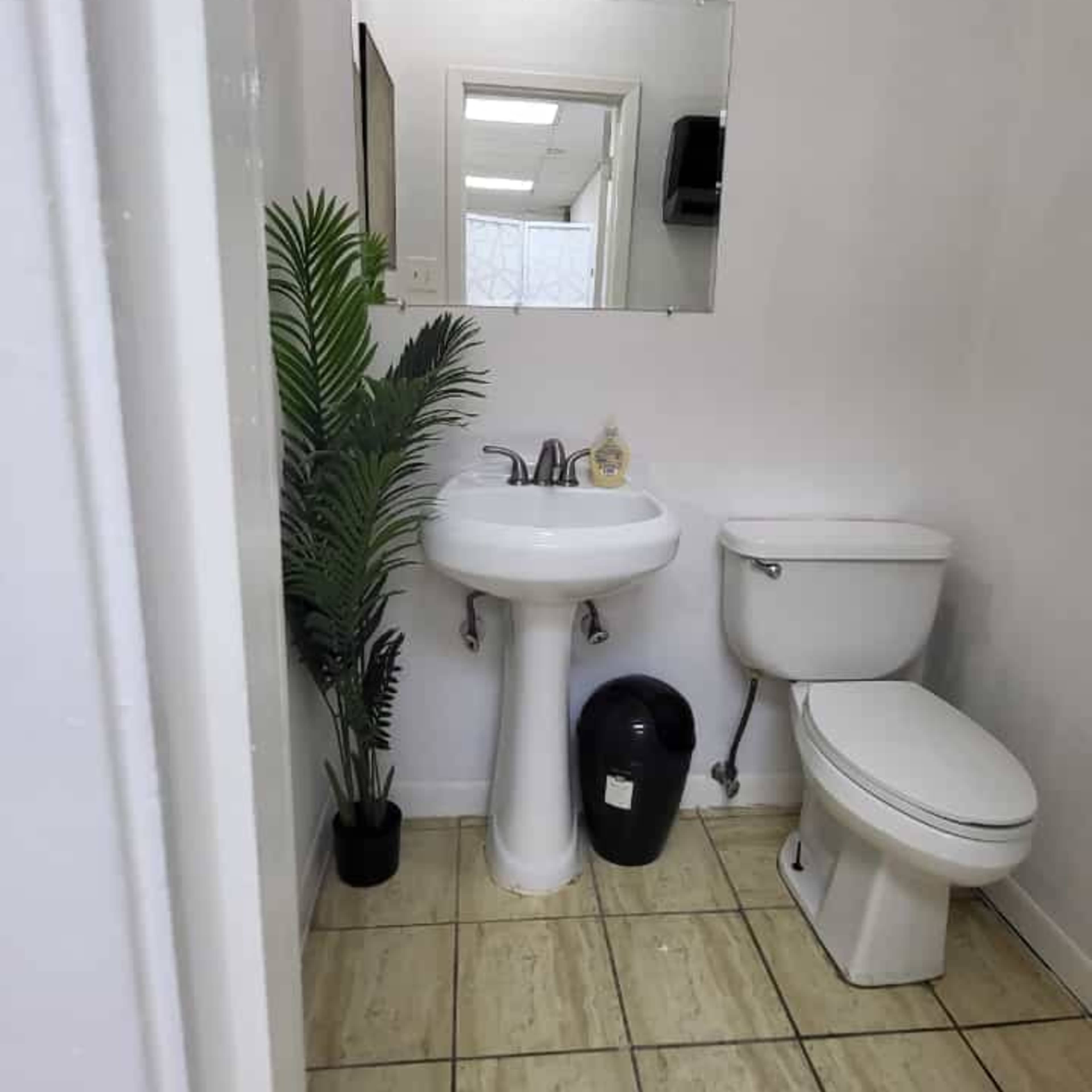 A small bathroom featuring a sink, toilet, mirror, and a potted plant.