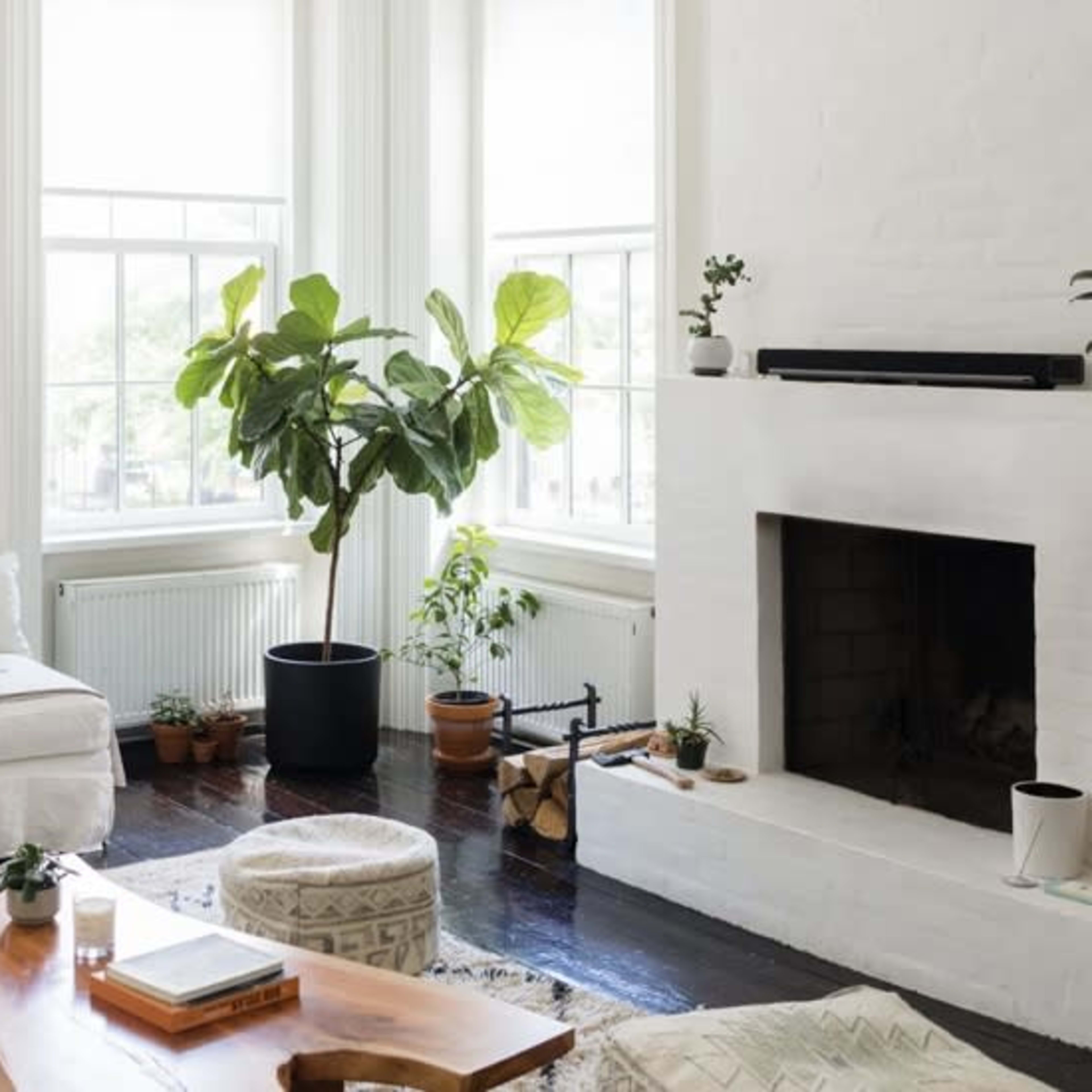 A bright living room features large windows, a cozy seating area with a white couch, a wooden coffee table, and houseplants beside a minimalist fireplace.