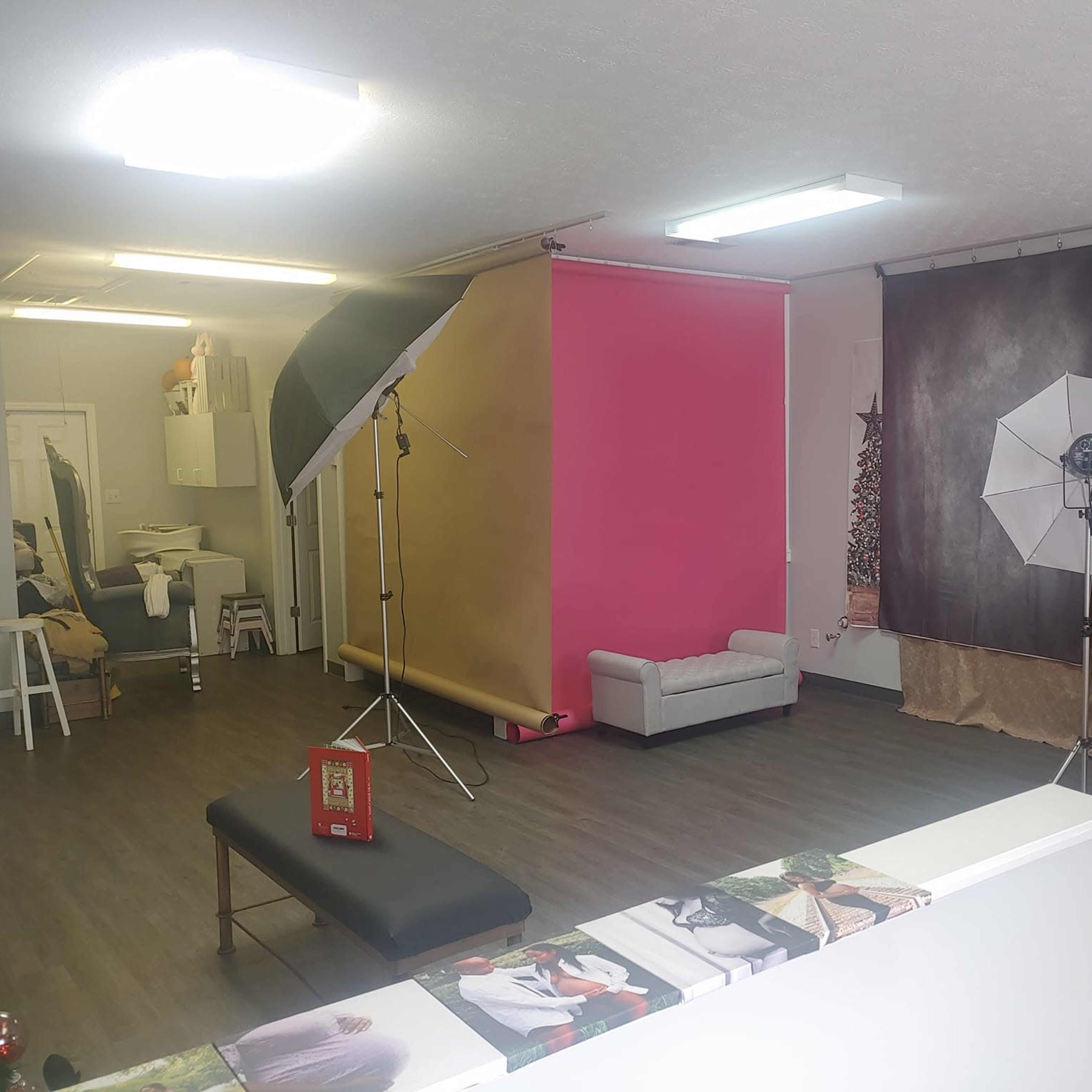 A photography studio with a pink accent wall, two lighting setups, a gray sofa, and a backdrop draped in fabric.