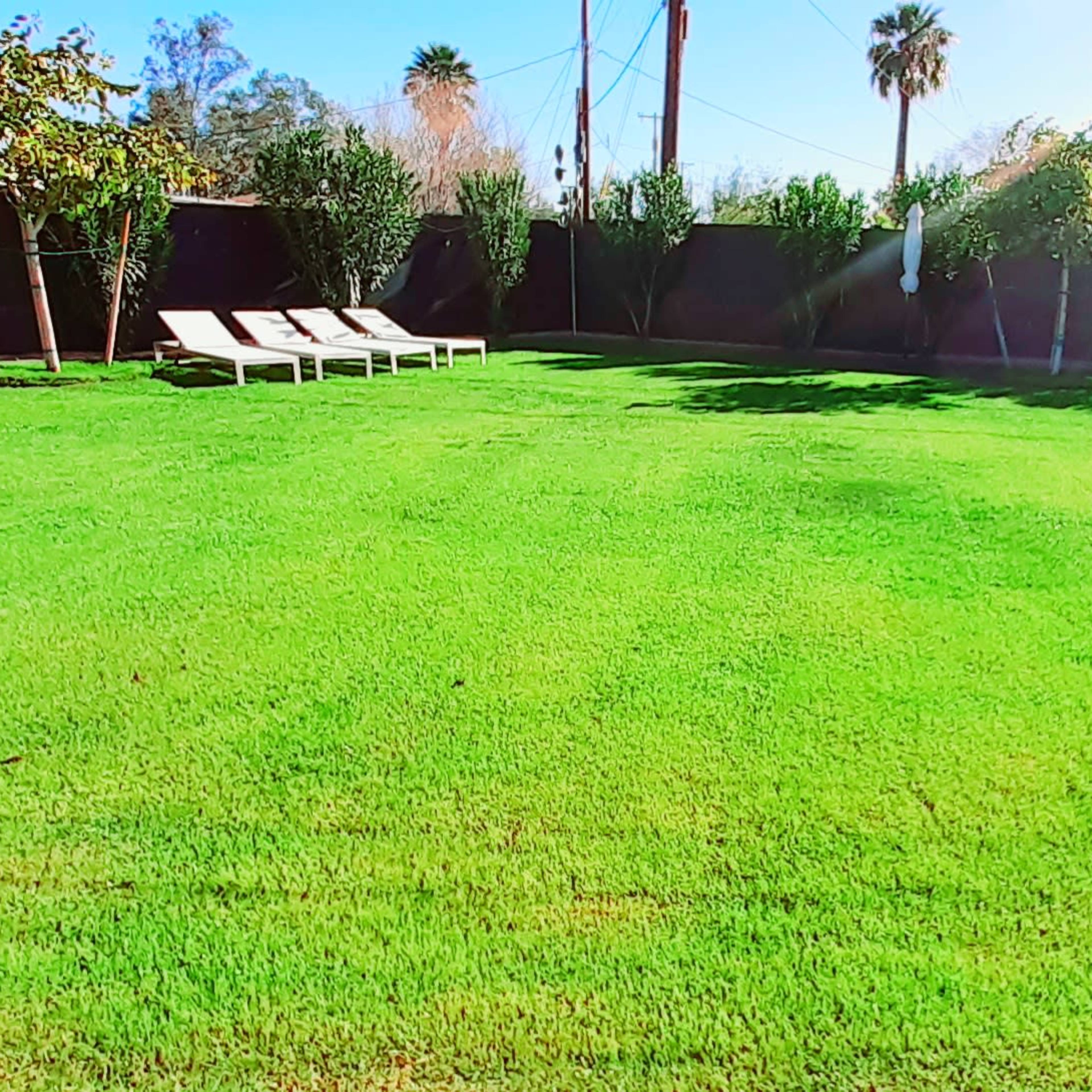 A large, manicured lawn with several lounge chairs is surrounded by trees and a wall in a sunny outdoor setting.