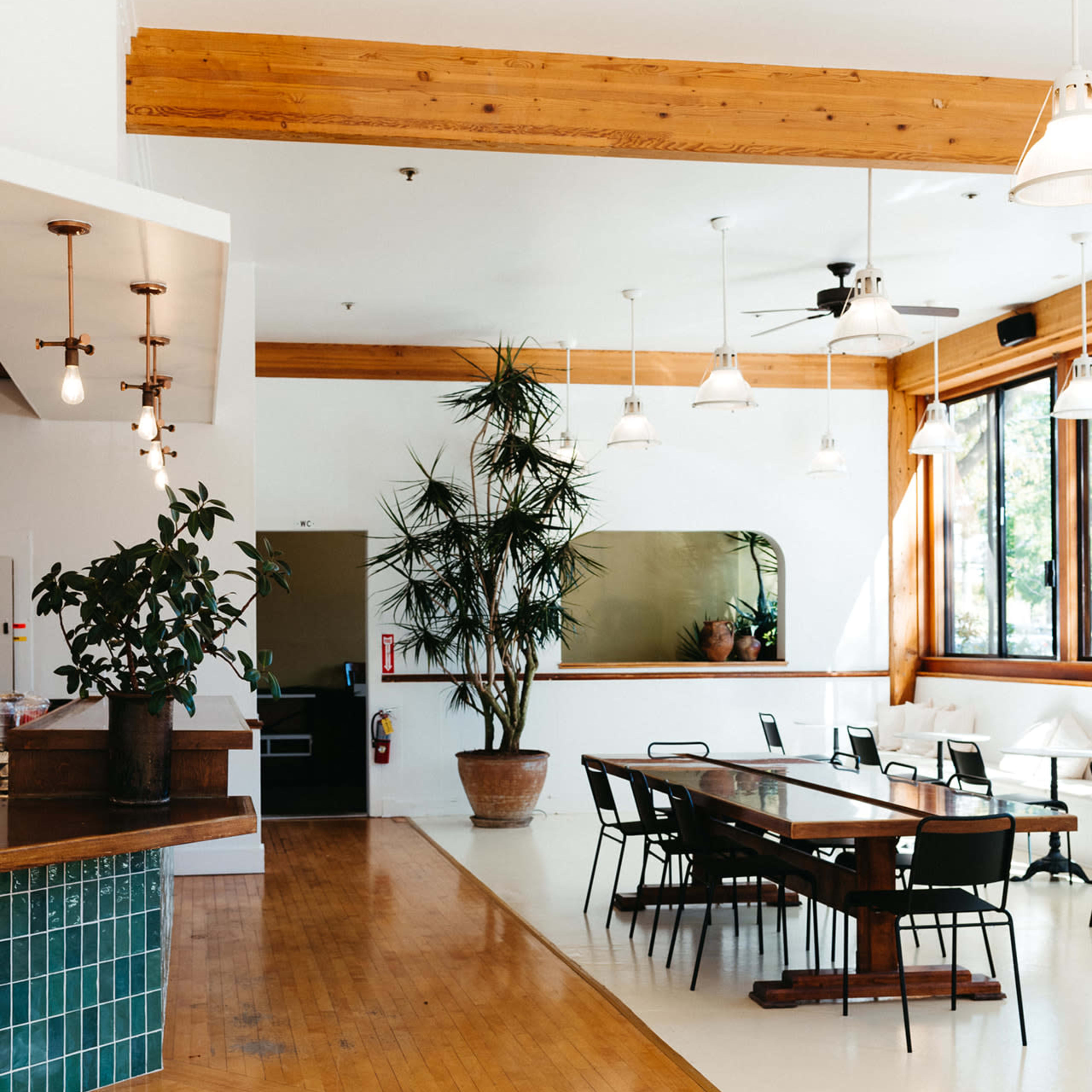 A bright, spacious dining area featuring a wooden table surrounded by black chairs, framed by large windows and indoor plants.