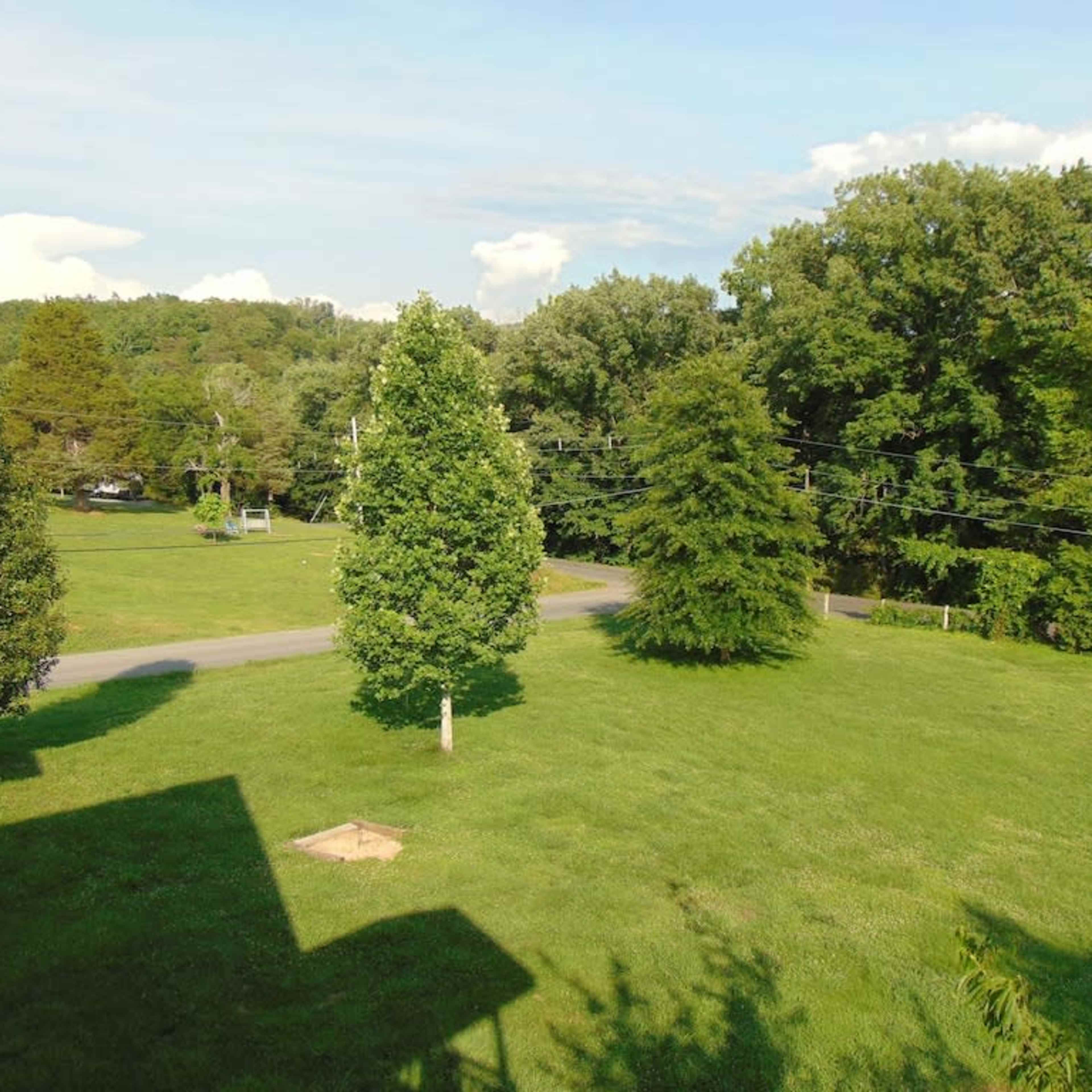 A green grassy area with a few trees and a winding road, set against a backdrop of hills.