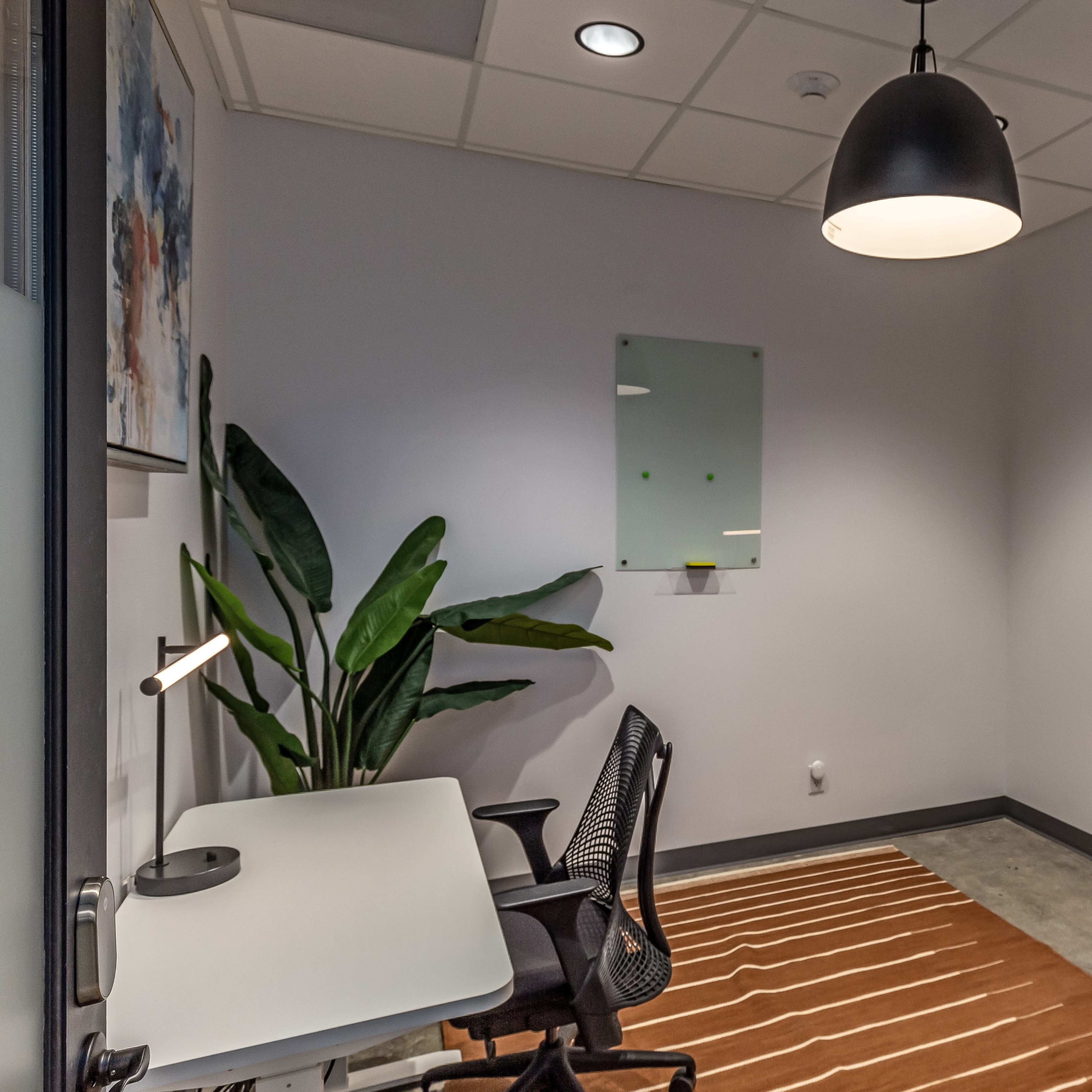 A small meeting room features two office chairs, a table, a wall-mounted TV, a mirror, and a large potted plant.