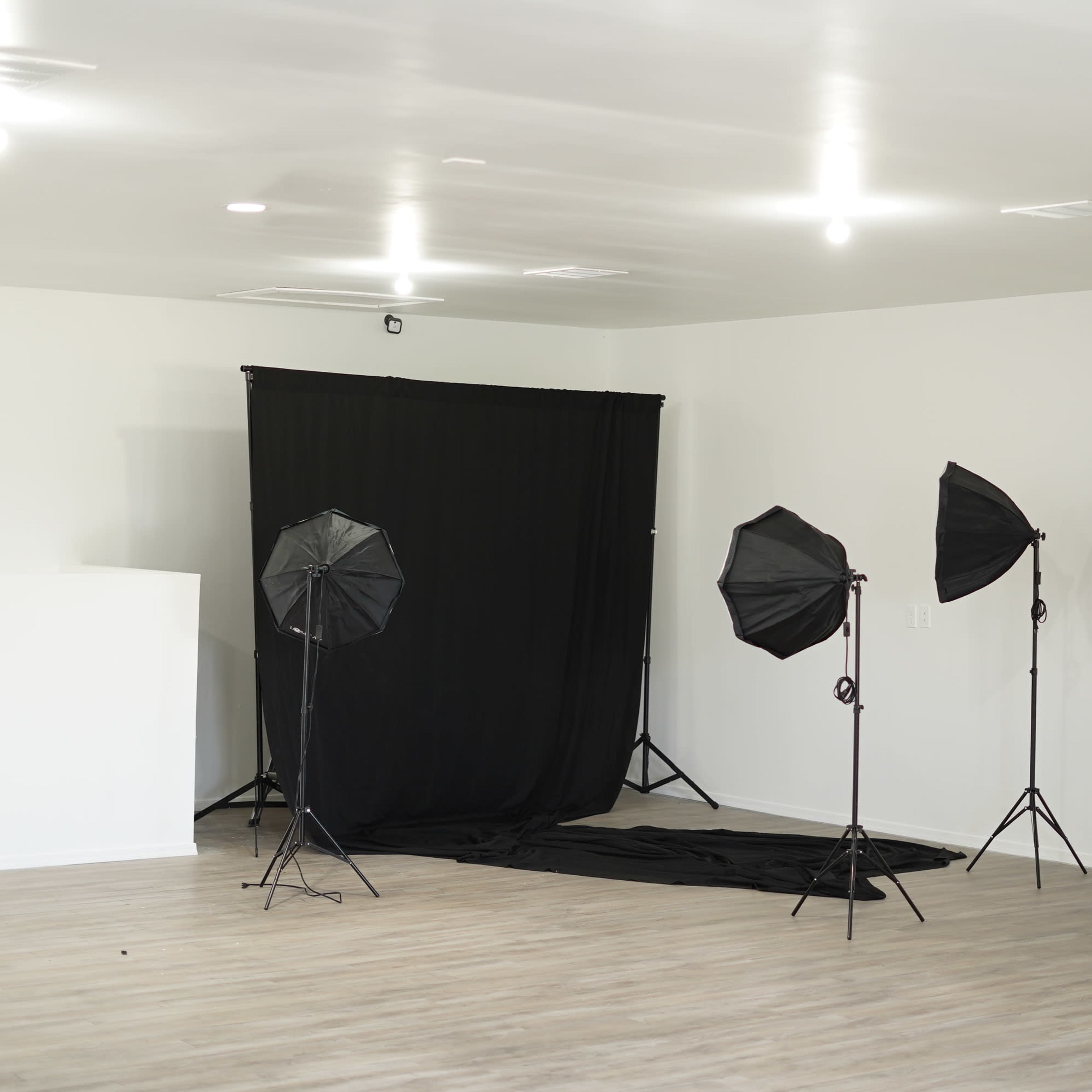 A photography studio setup with softbox lights, a black backdrop, and a wooden floor.