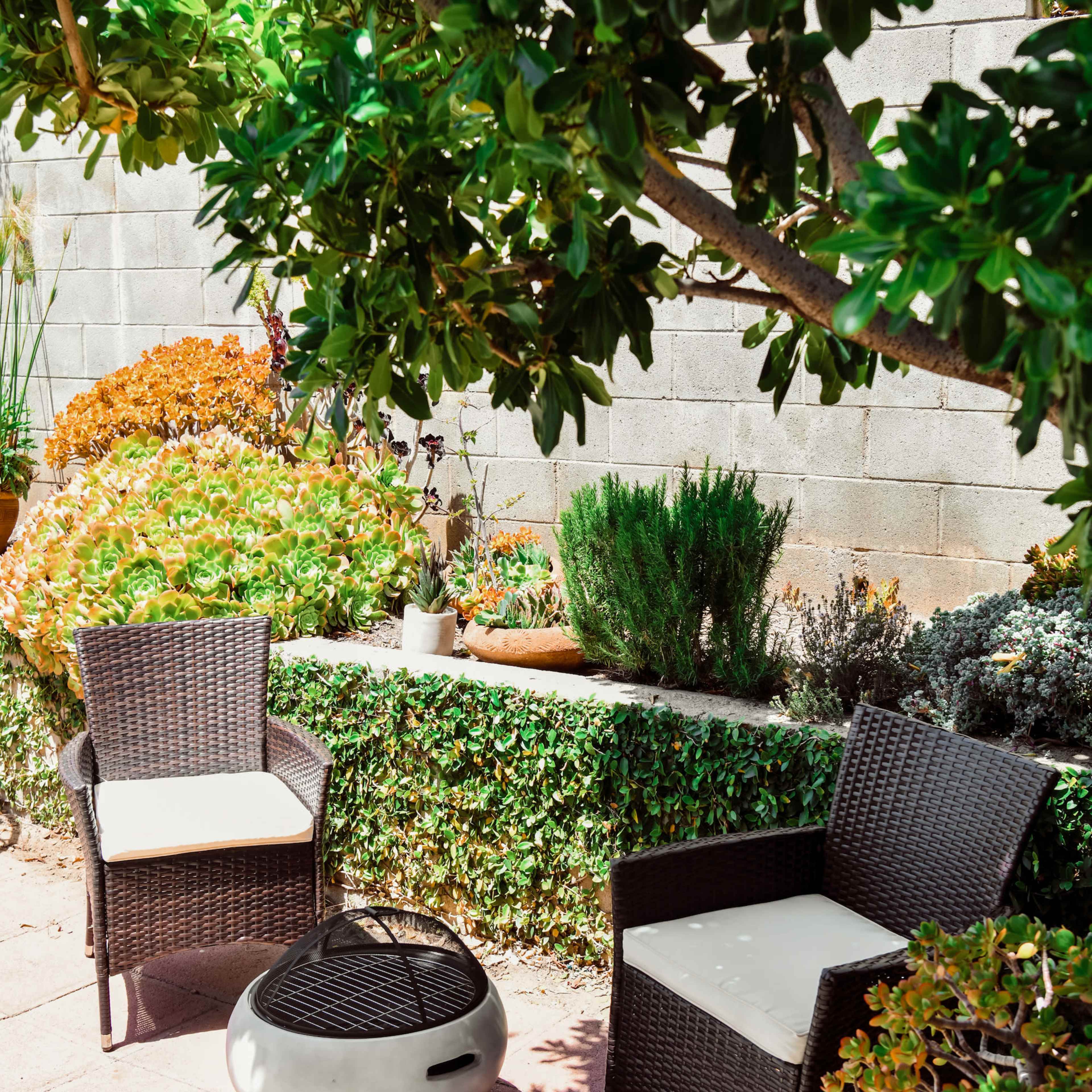 A small outdoor space with two wicker chairs, a fire pit, and landscaped greenery against a concrete wall.