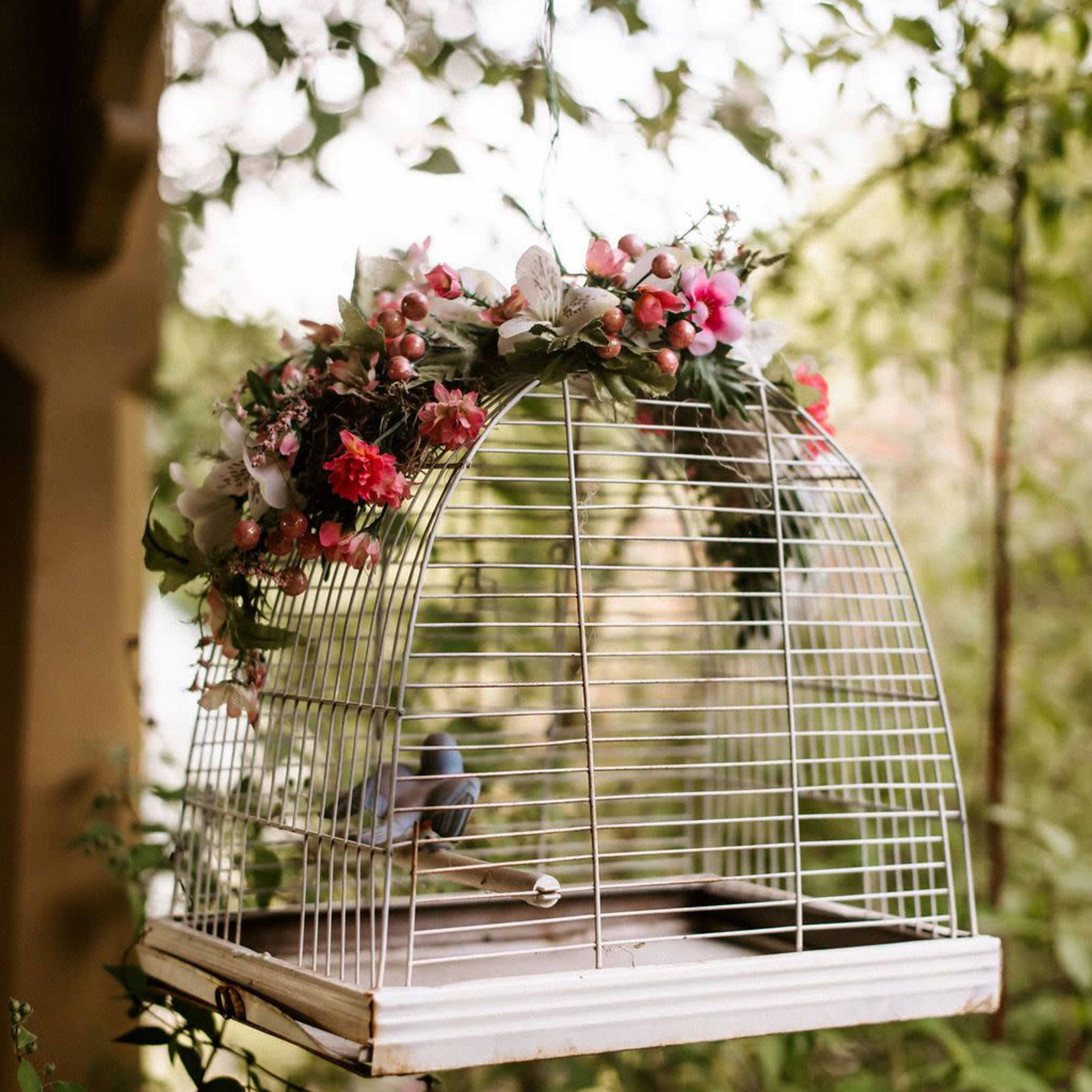 A white, wire birdcage adorned with flowers hangs among green foliage.