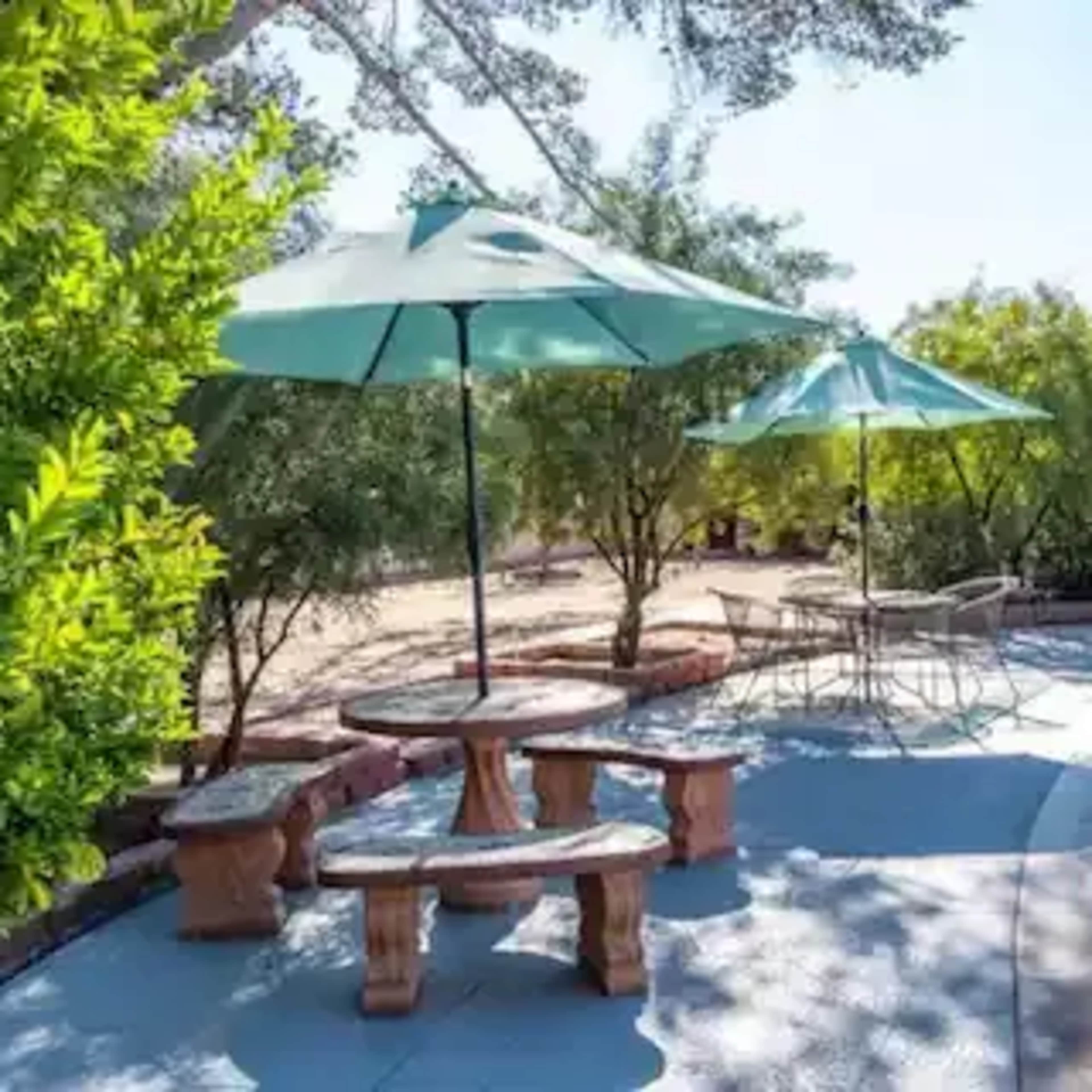 **Tucson Photo Shoot House with Pool** Image in El Encanto, Tucson, AZ