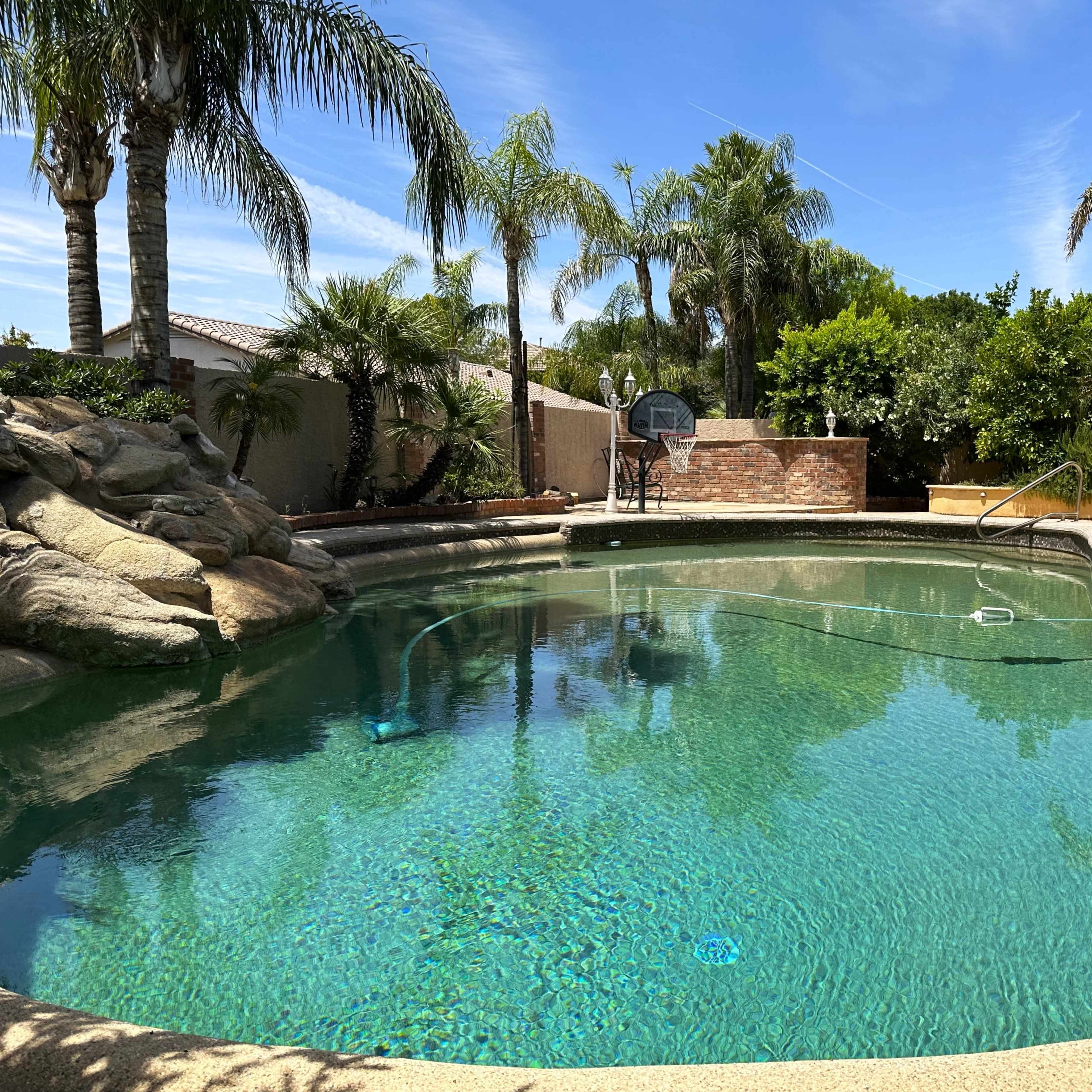 A clear swimming pool surrounded by palm trees and a landscaped backyard.