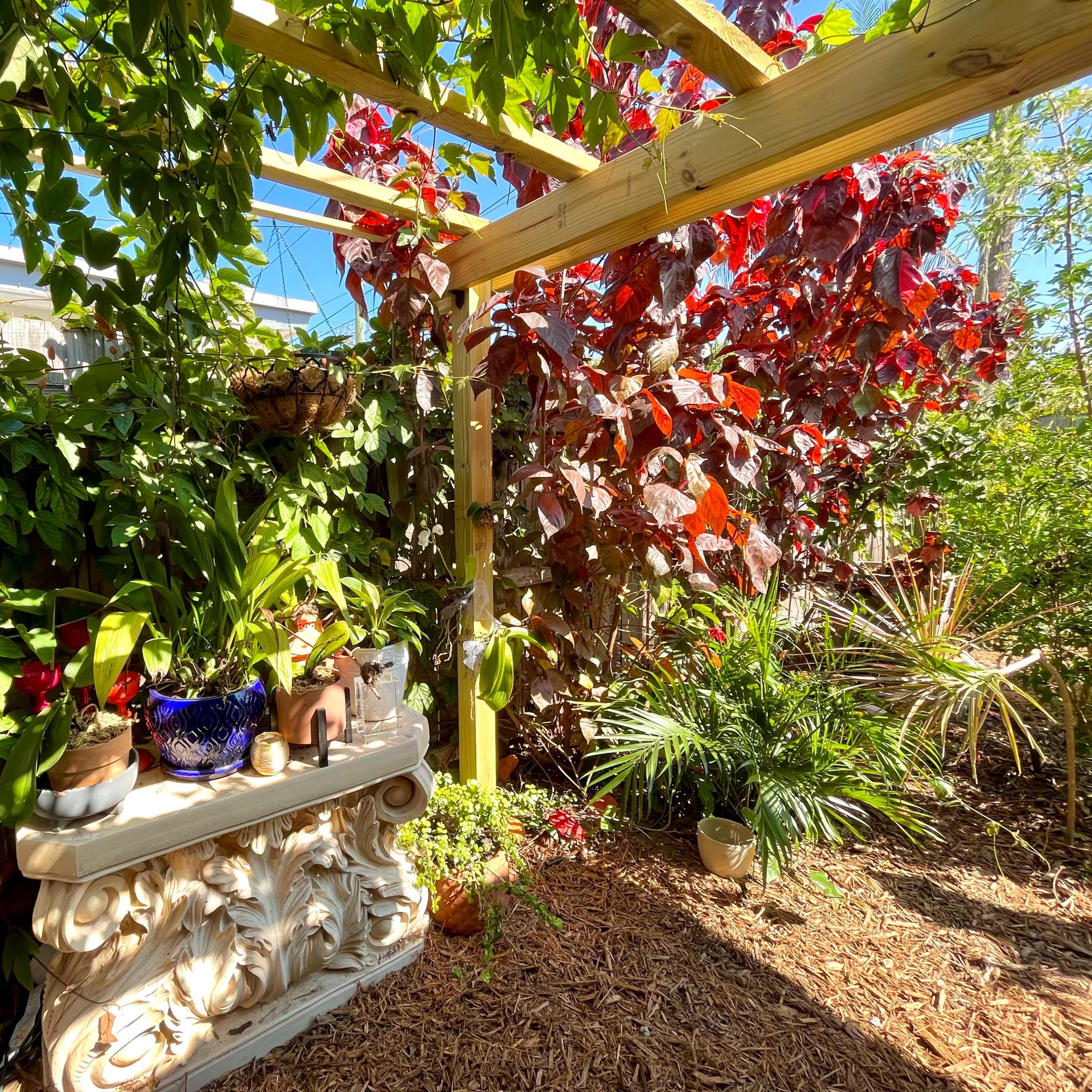 A garden area with a stone pedestal adorned with plants, surrounded by various green and red foliage under a wooden trellis.
