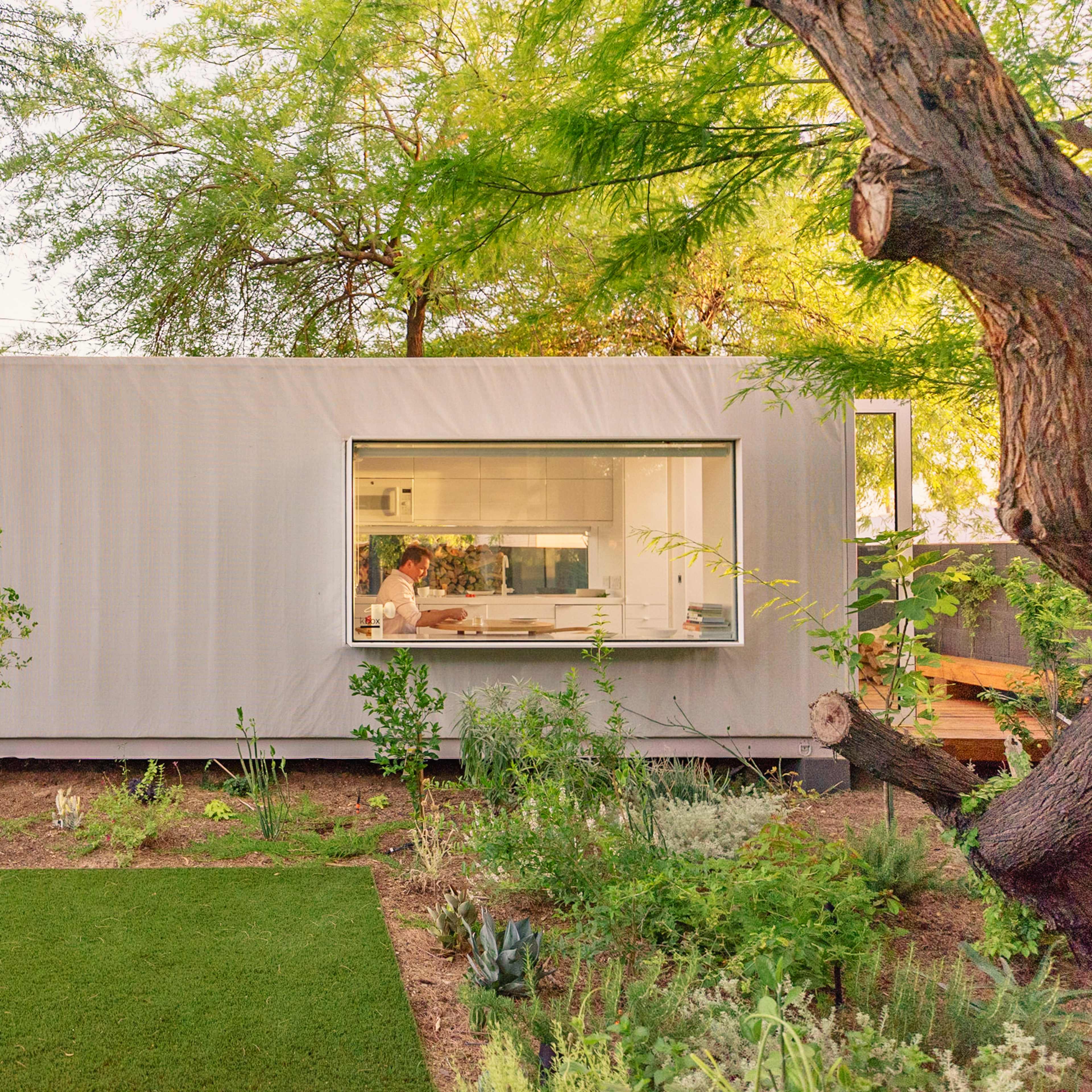 A modern, rectangular house with a large window sits amidst a garden featuring various plants and grass.