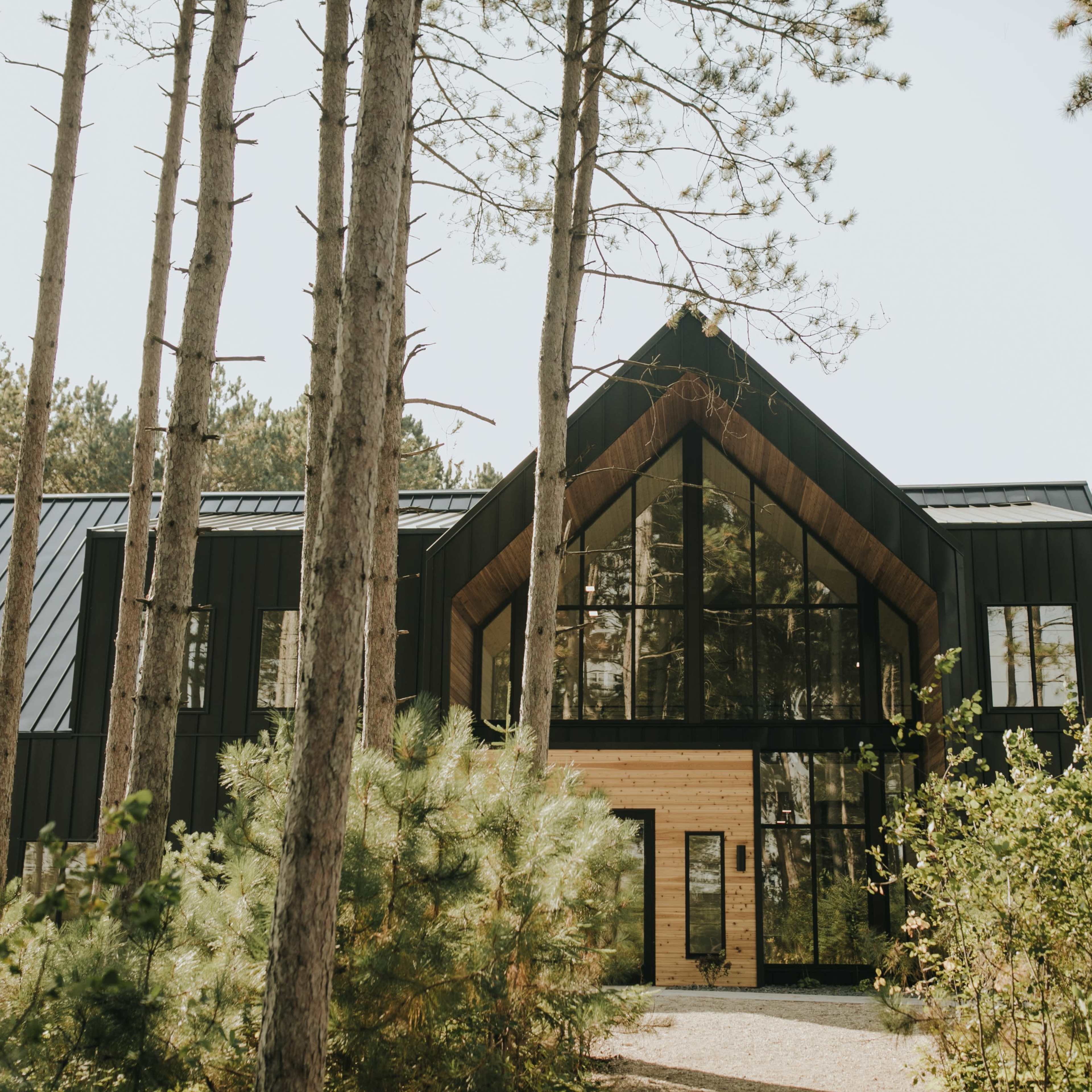 A modern black timber house with large glass windows is surrounded by tall trees and greenery.