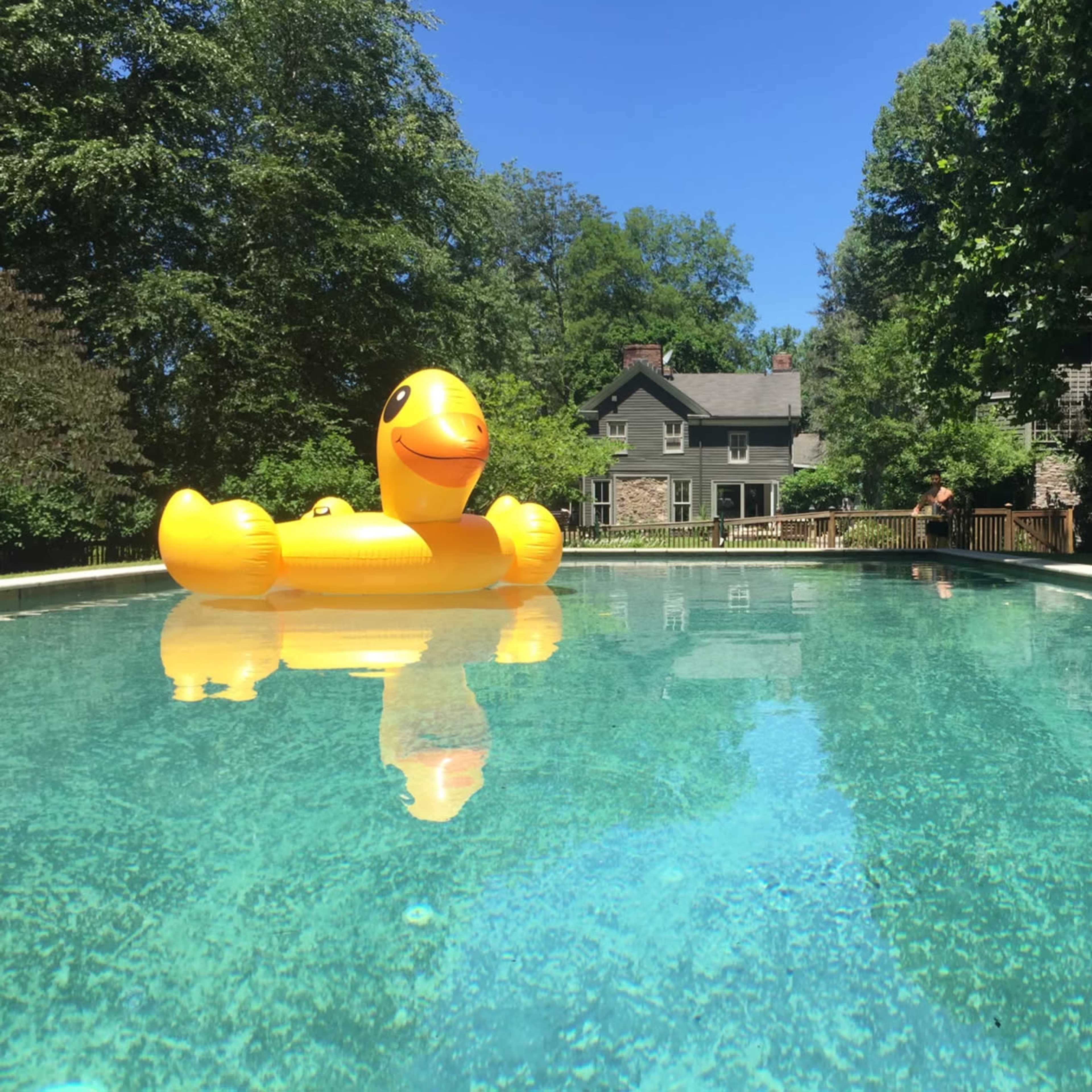 A bright yellow inflatable duck floats on the surface of a clear swimming pool, with a house and trees visible in the background.