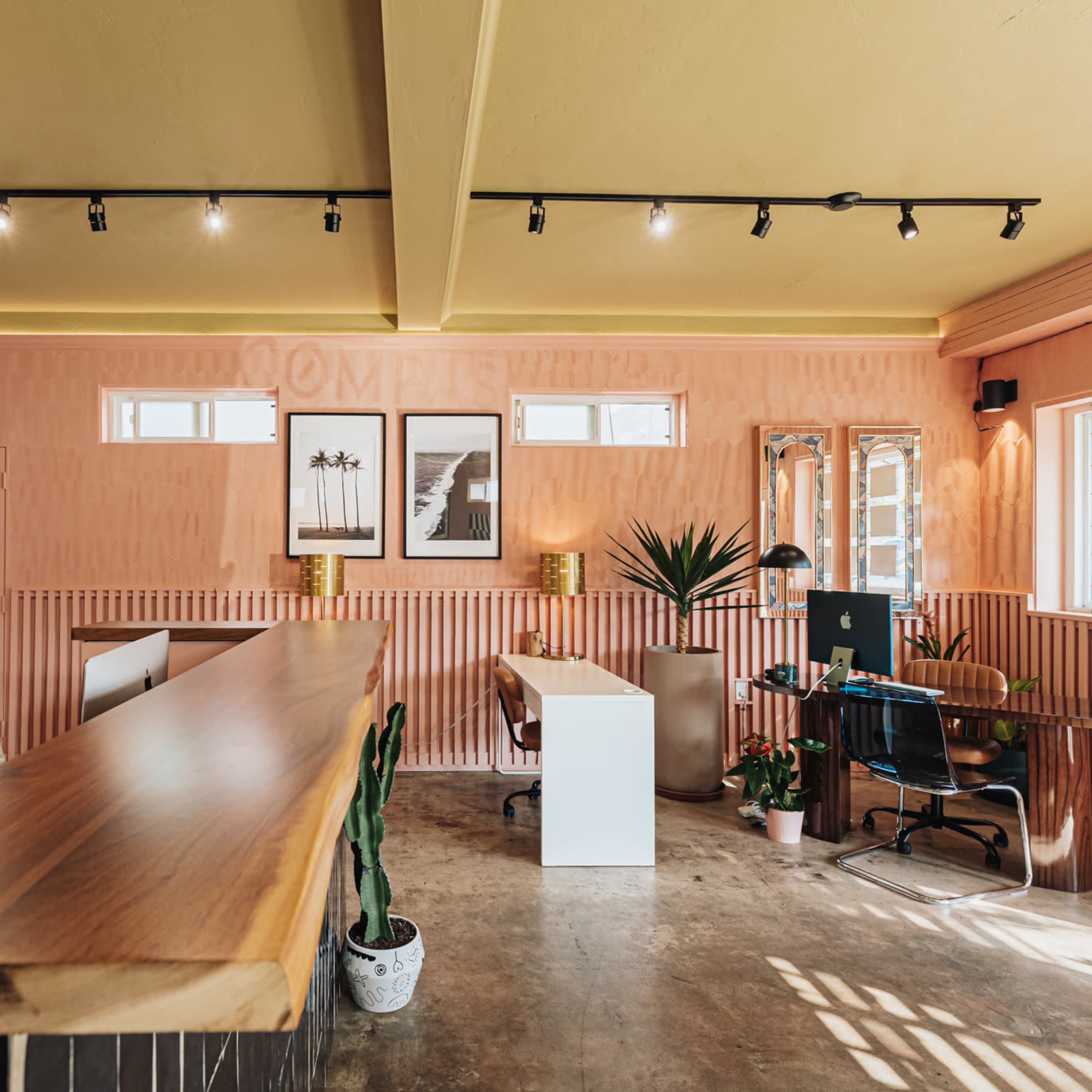 Bright tropical Office for Photoshoots and Events Image in Roseville - Fleet Ridge, San Diego, CA