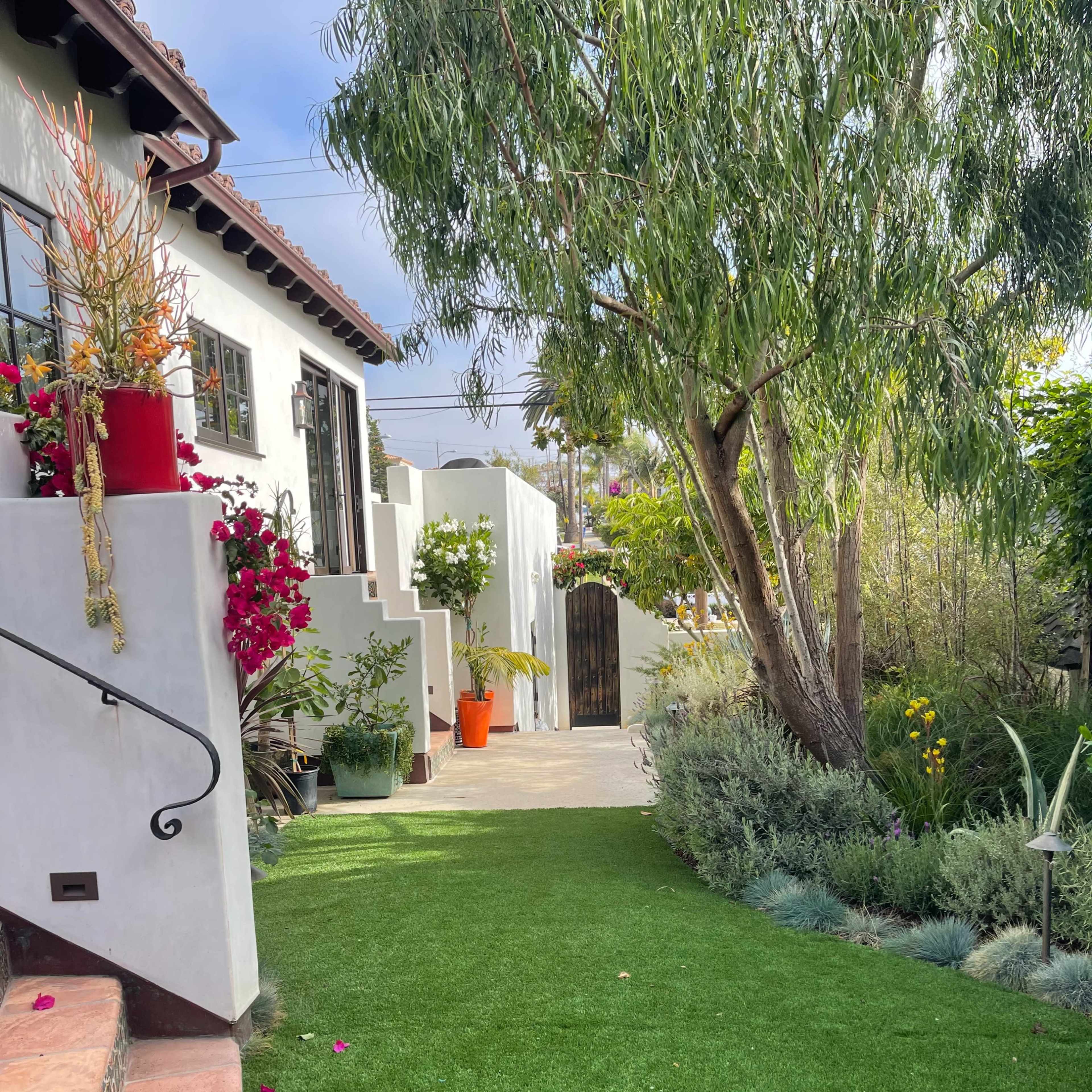 A pathway lined with greenery and potted plants, leading to a gated area behind a house.