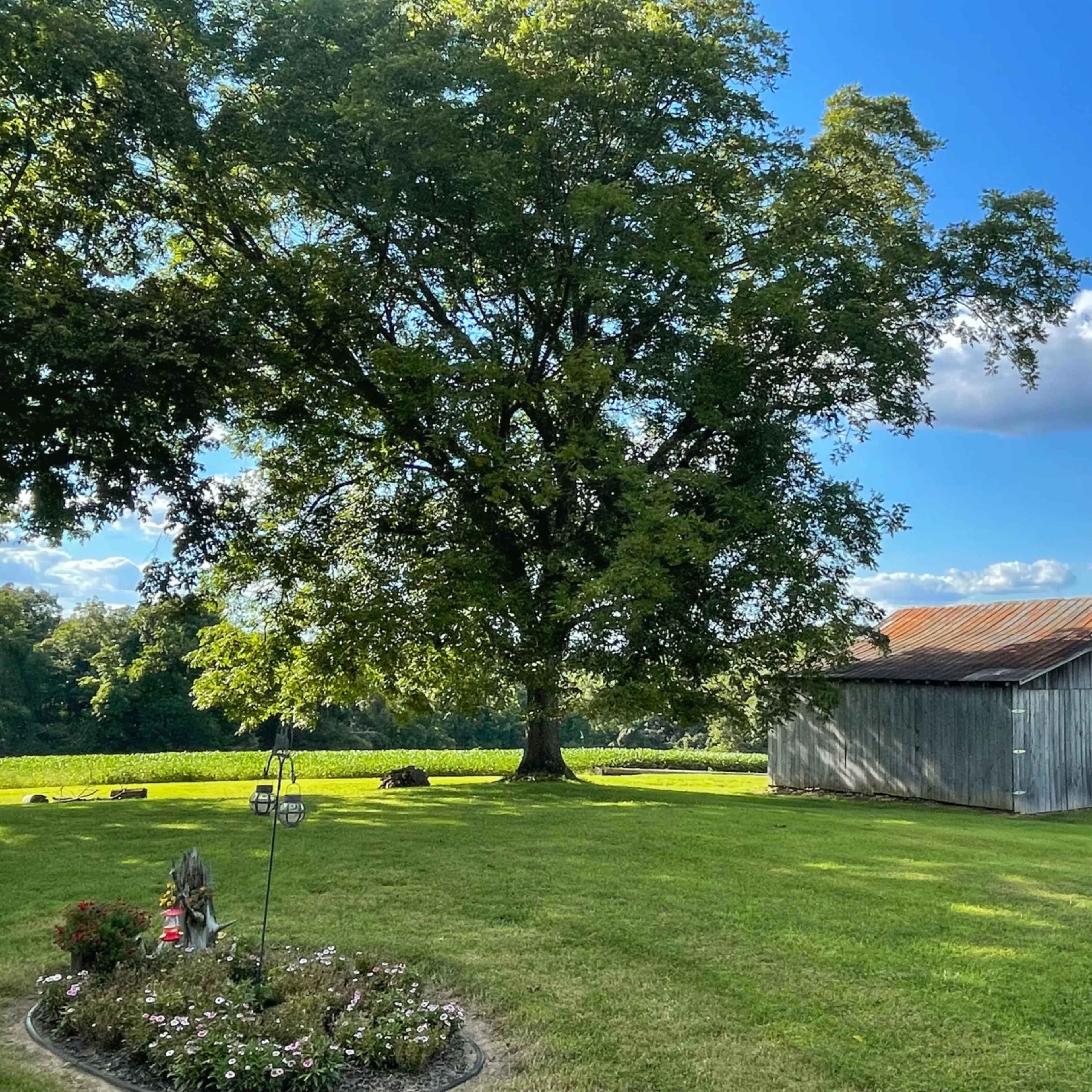 Hundreds of acres of farmland, numerous rustic barns and pure beauty, less than an hour from Nashville Image in , Cedar Hill, TN