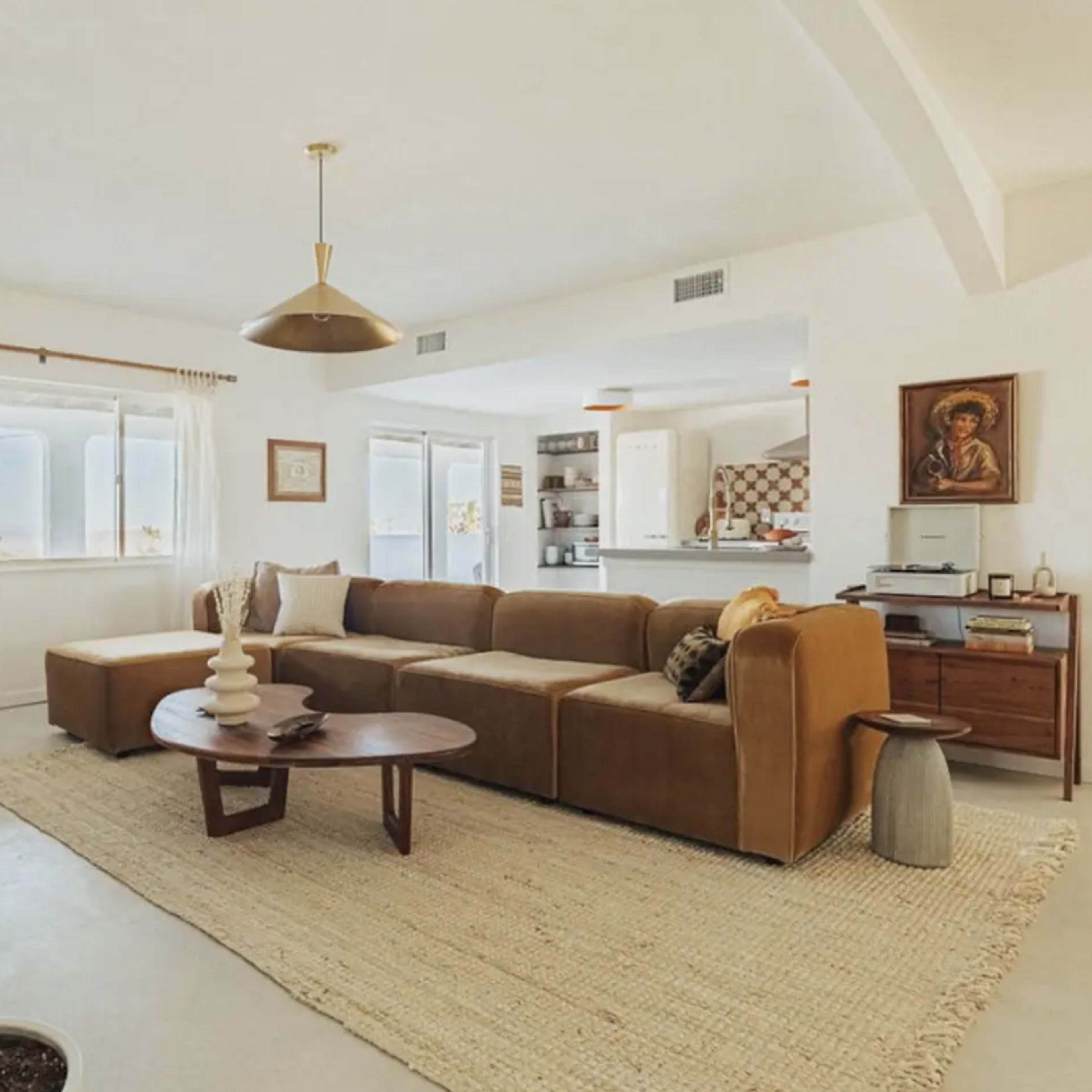 A modern living room featuring a brown sectional sofa, a round coffee table, a tall cactus plant, and a light-colored area rug.