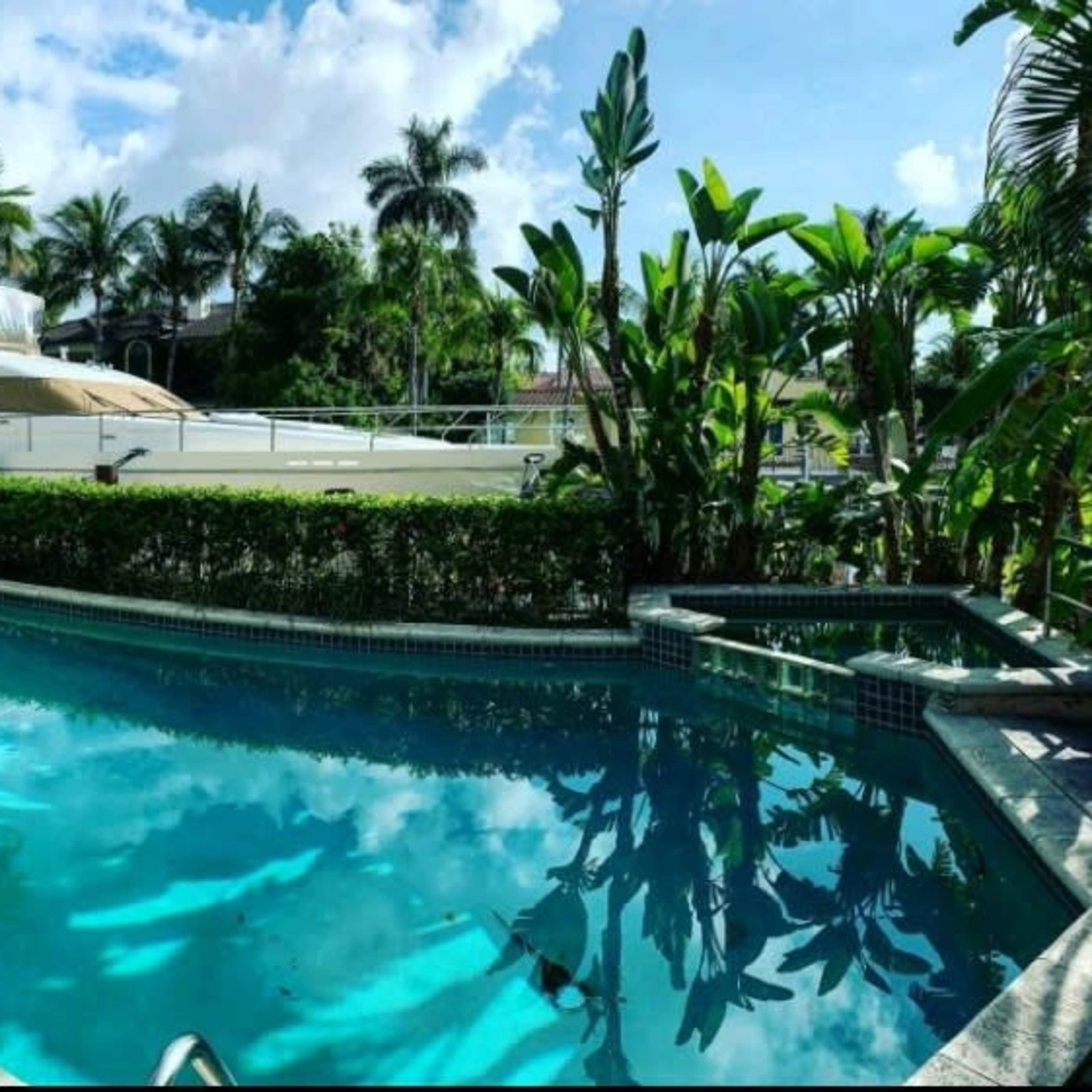 A pool area surrounded by palm trees and tropical plants, with a patio and seating arrangement beside the water.