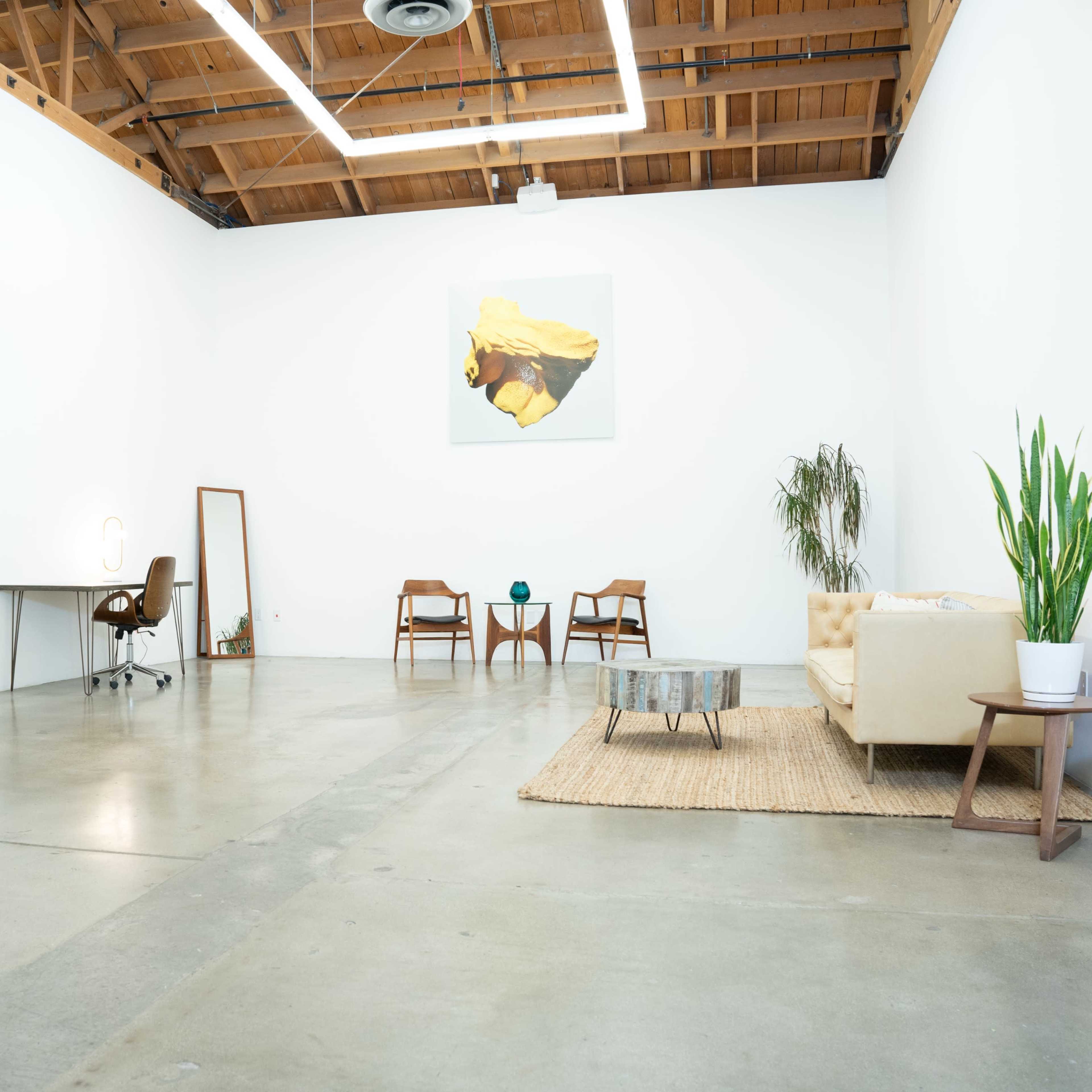 A spacious, minimalist studio features two desks, a seating area with a couch and chairs, and a large plant.