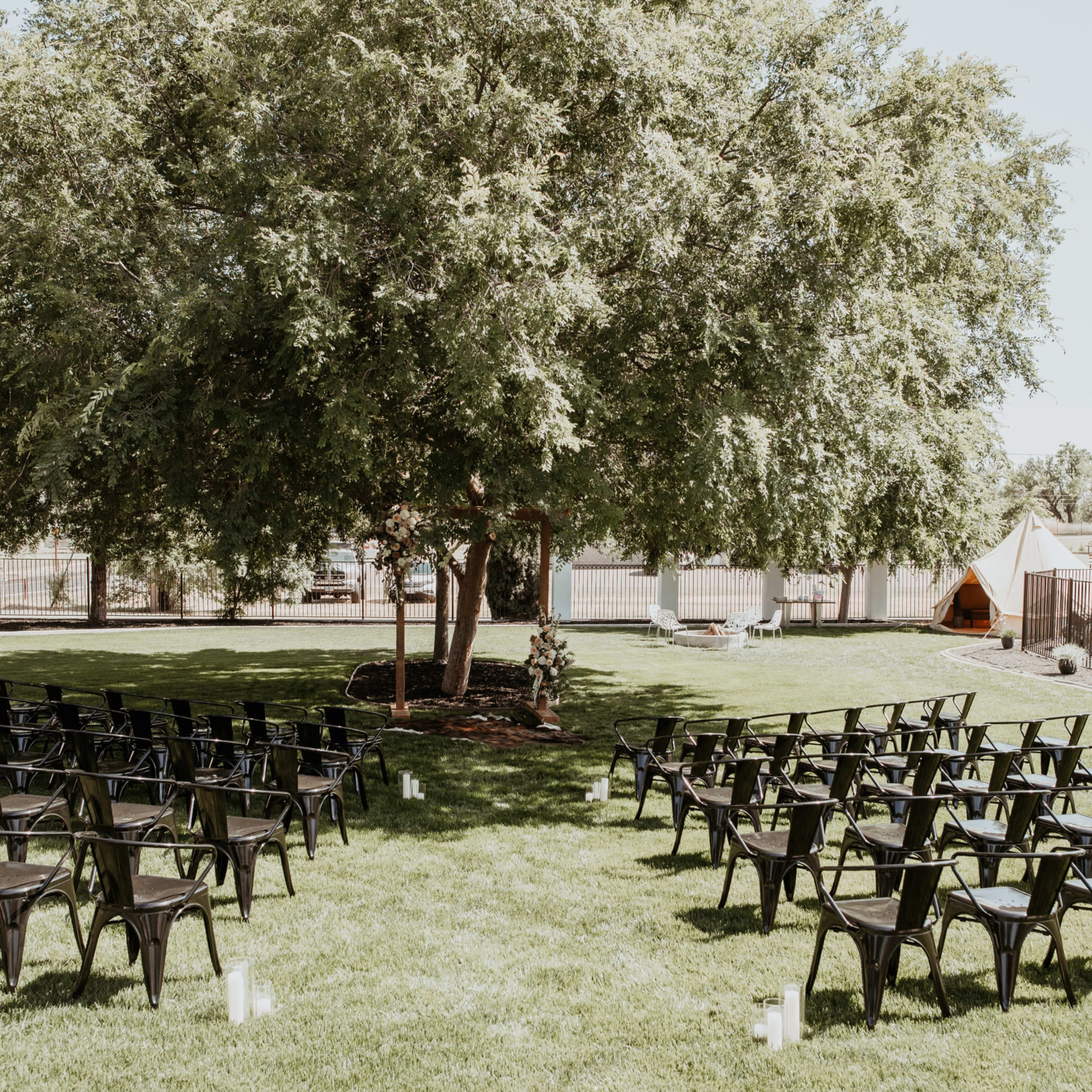 A circle of black chairs is arranged on a lawn under a large tree in preparation for an outdoor event.