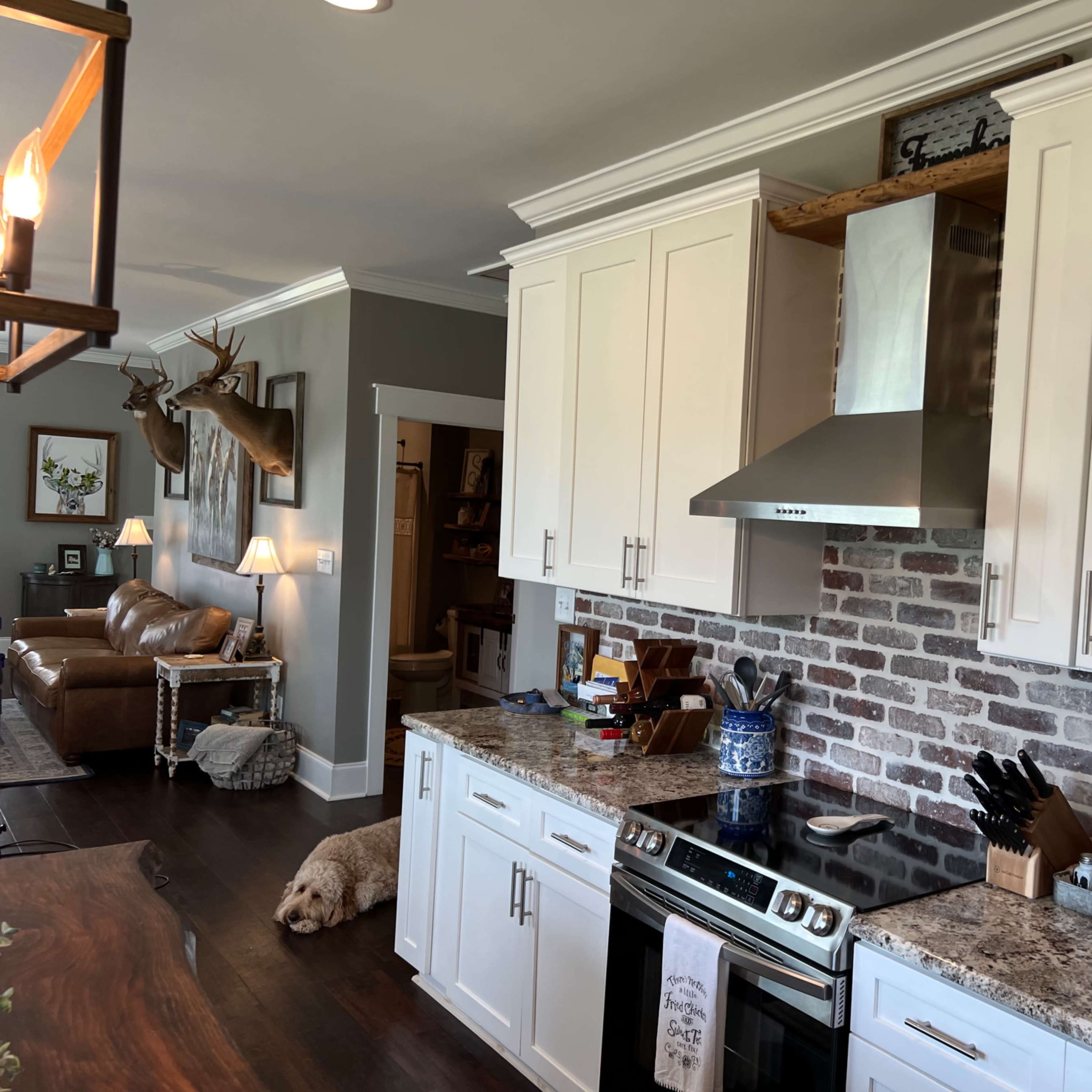 A kitchen with white cabinets, a stainless steel range hood, and a granite countertop, with a living area and a dog resting on the floor in the background.