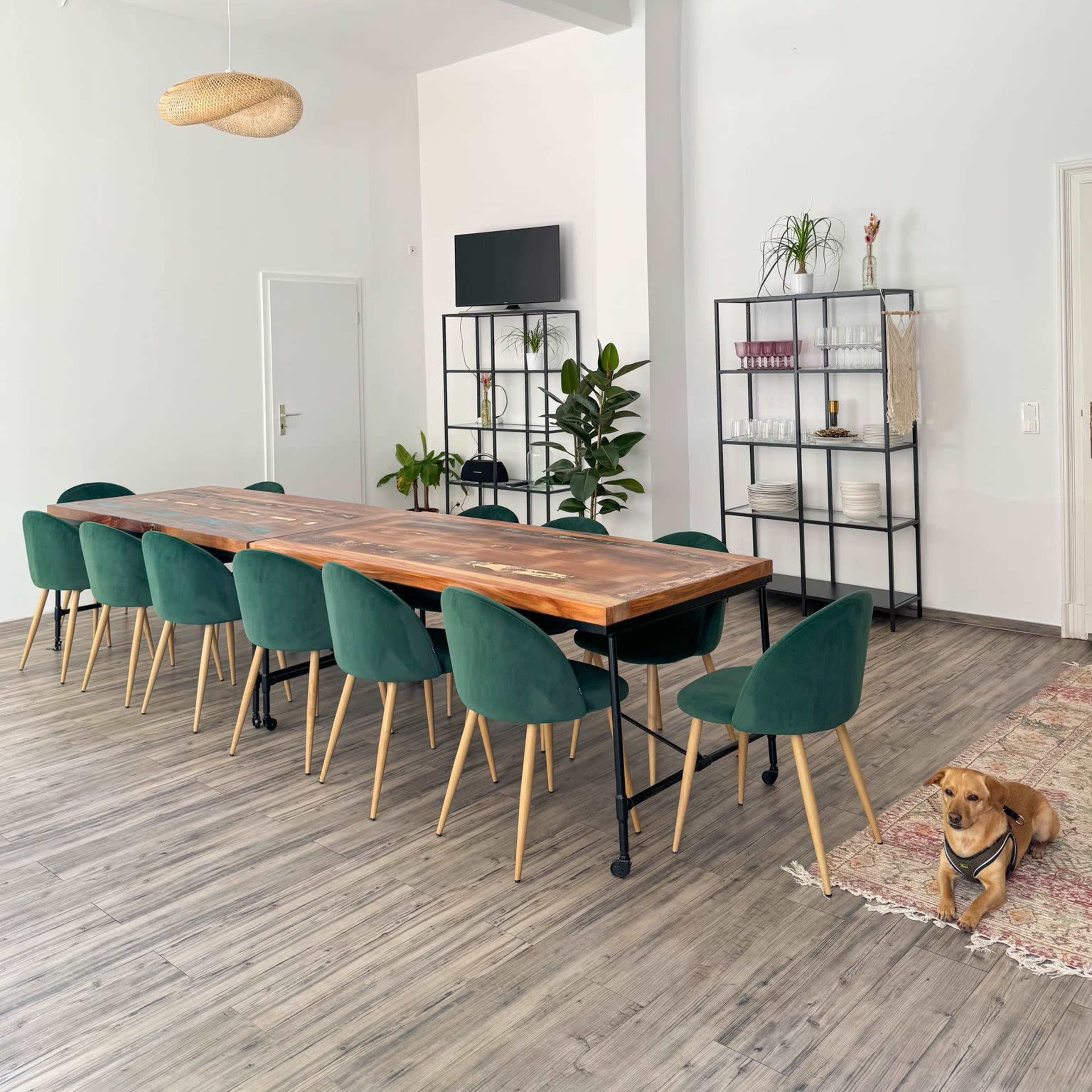 A long wooden dining table with green chairs is set under hanging light fixtures in a bright room, accompanied by a decorative shelf and a dog resting on the floor.