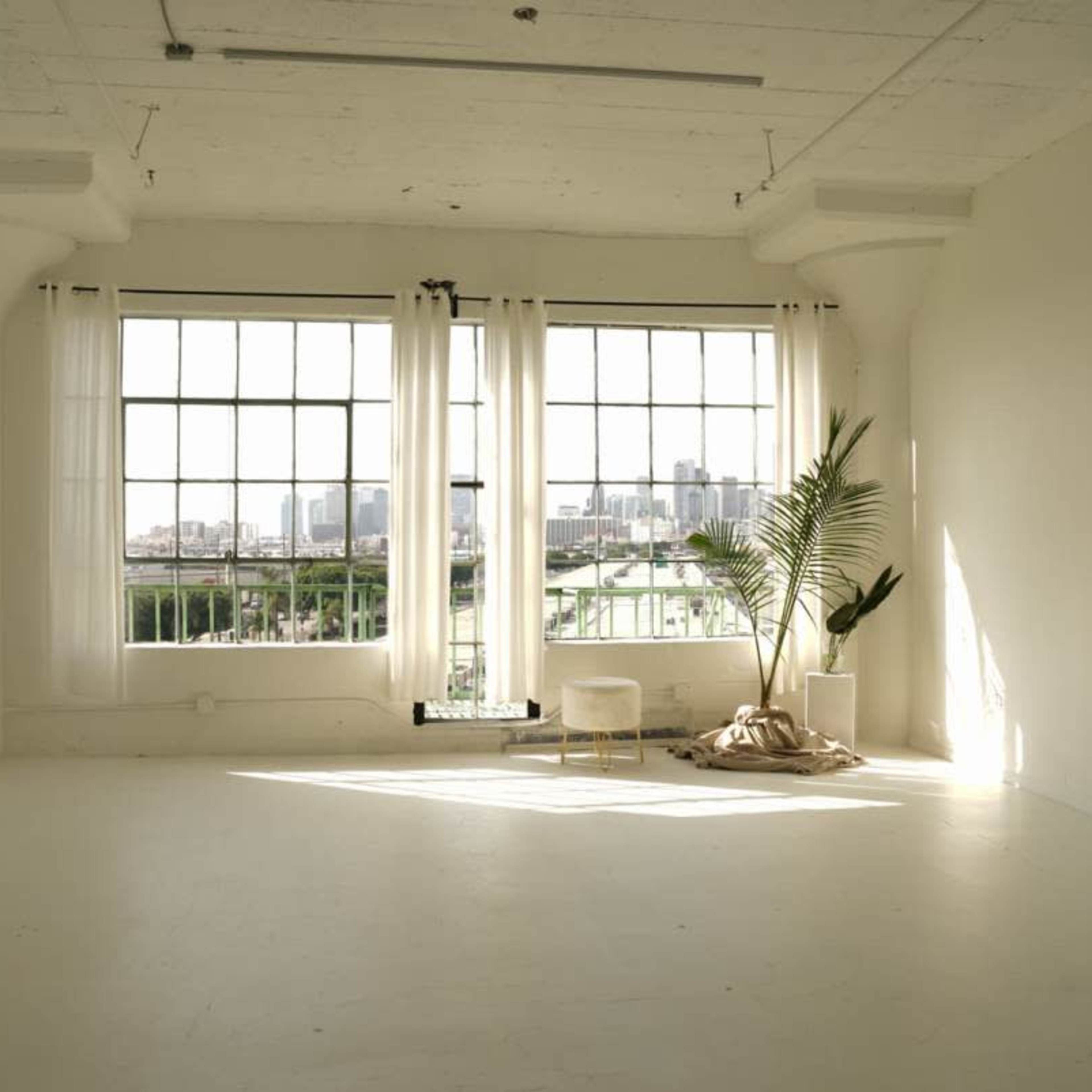 A bright, minimalistic room with large windows, sheer curtains, and a potted plant in the corner.