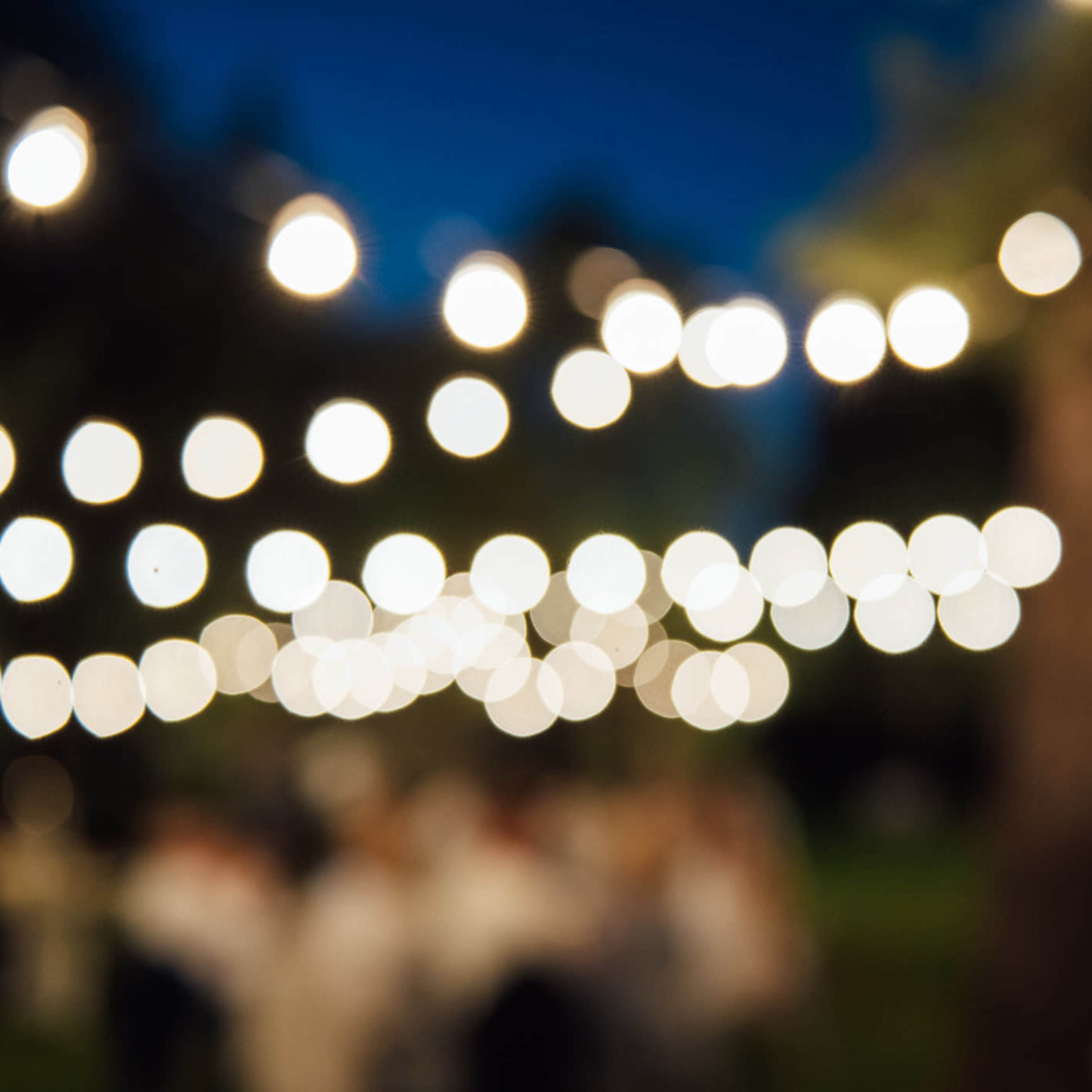 A blurred outdoor scene with string lights glowing against a darkening sky.