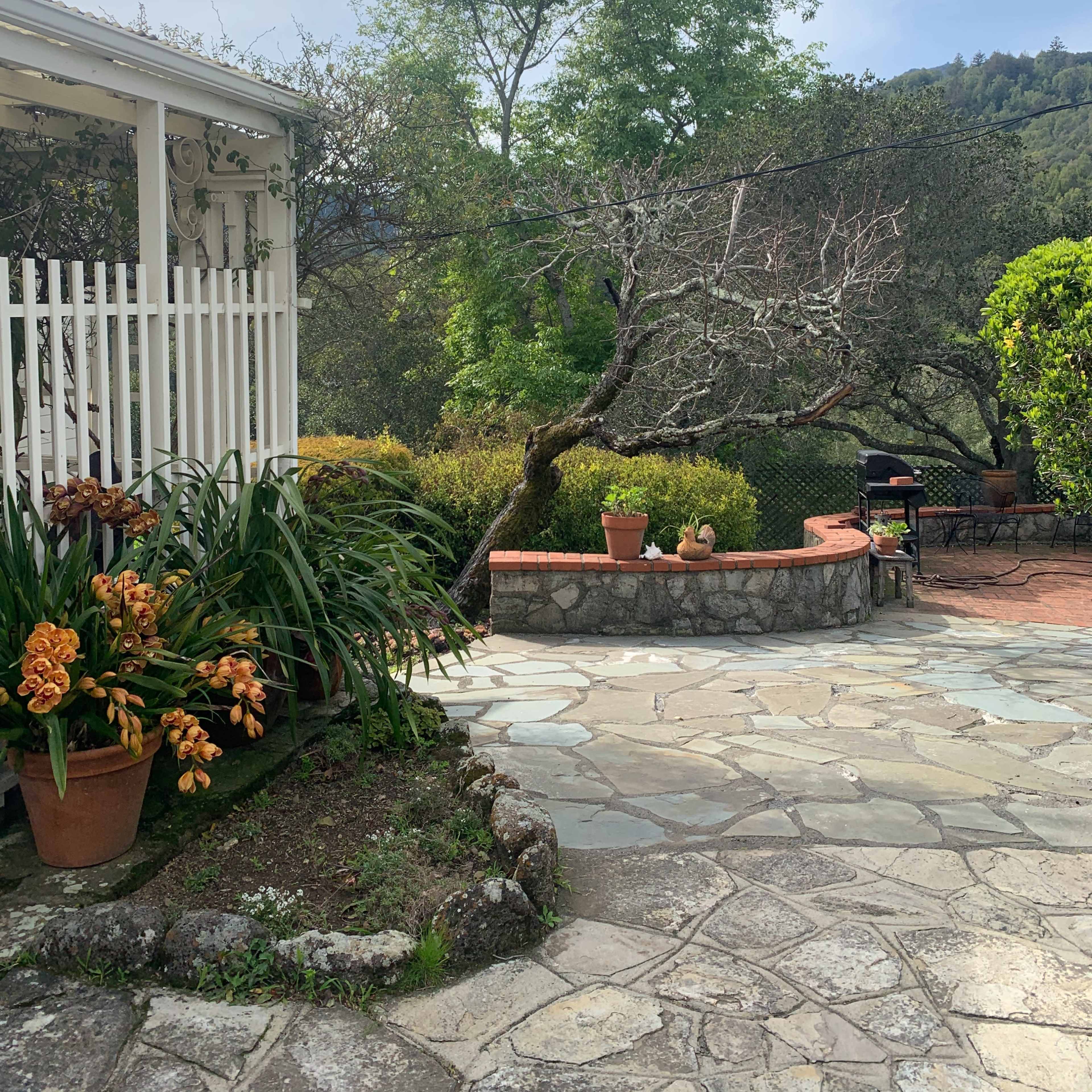 A stone patio with potted plants and a view of a tree and surrounding greenery.