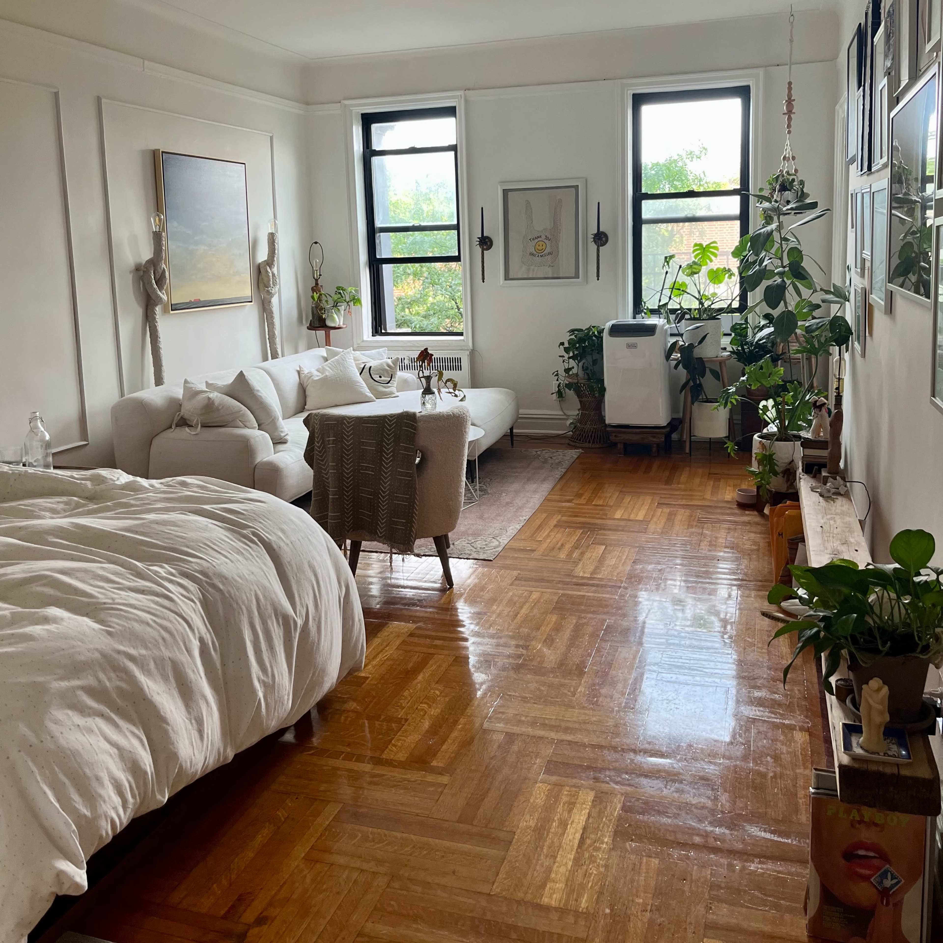 Sunny, Artistic, Pre-War Brooklyn Apartment Image in Flatbush, Brooklyn, NY