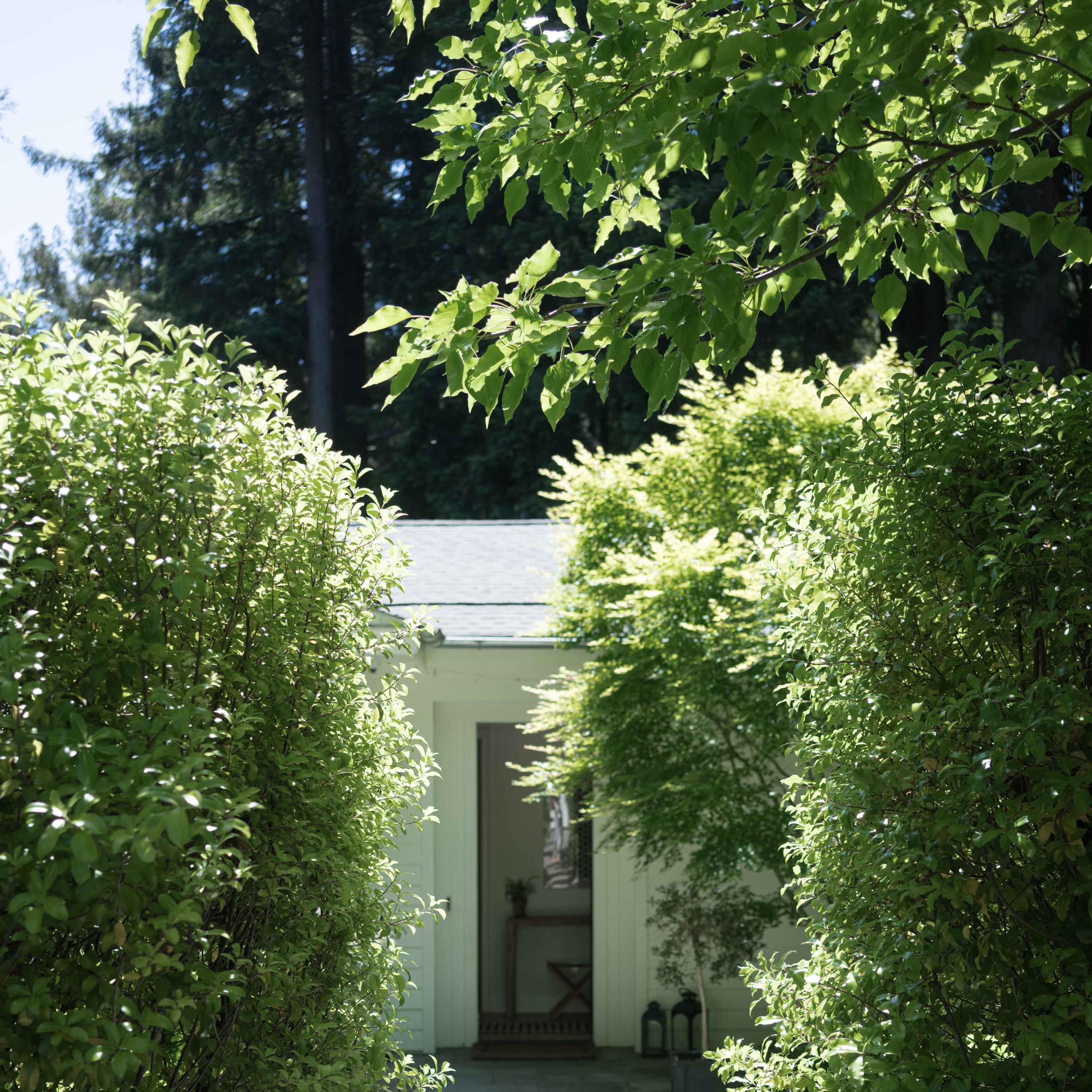 A pathway lined with greenery leads to a house partially obscured by surrounding foliage.