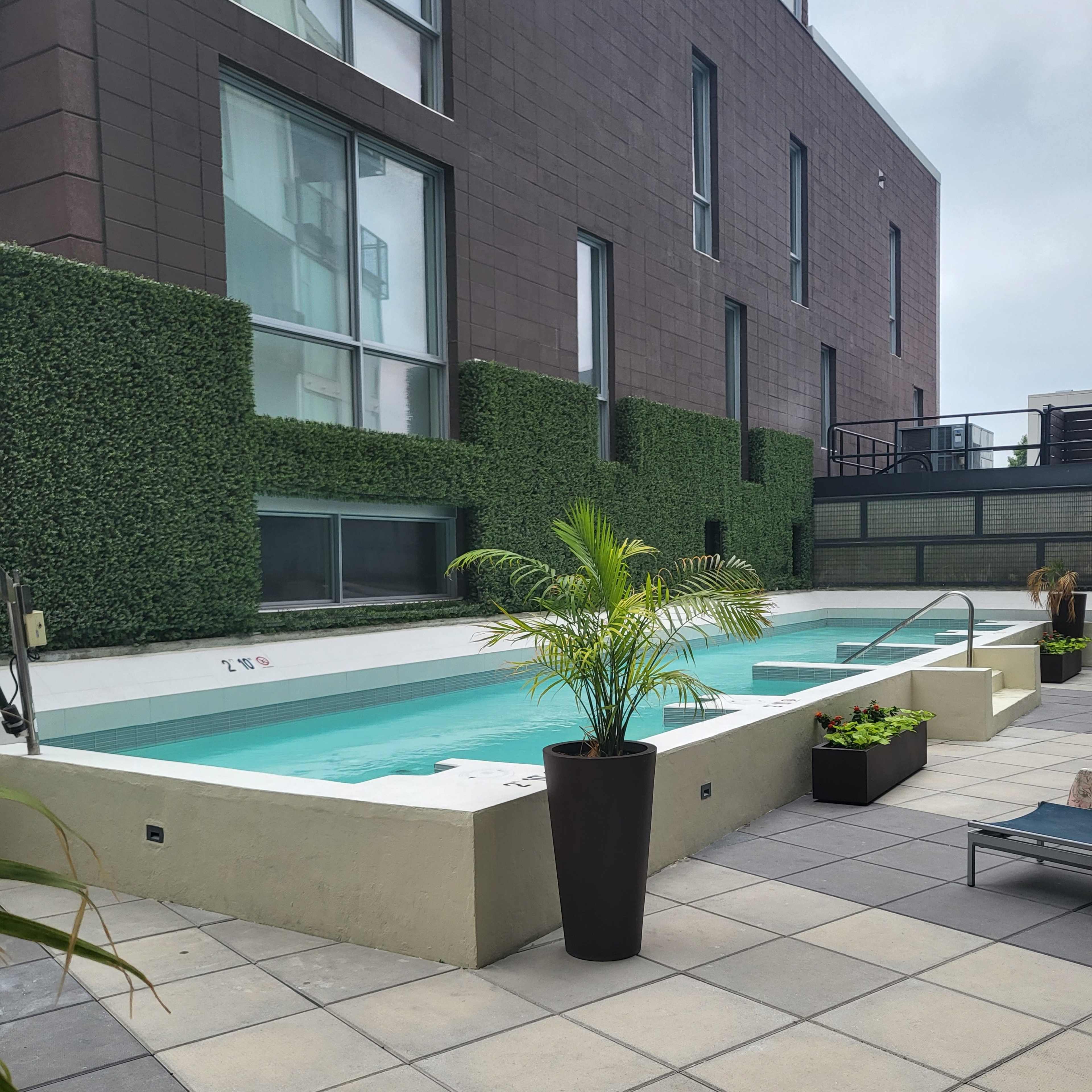 A small pool surrounded by potted plants is situated beside a modern building with green wall panels.