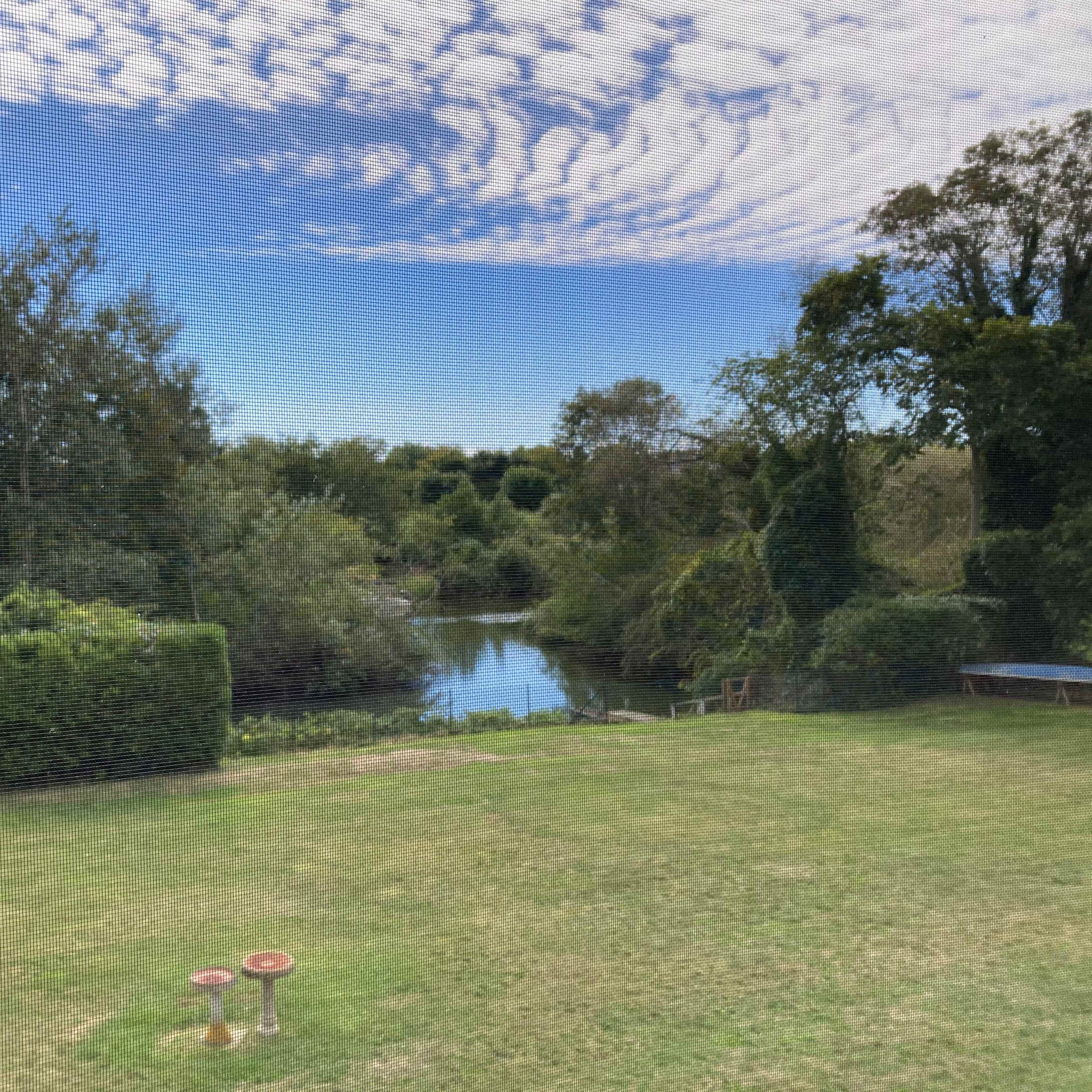 A lush green lawn with a small pond surrounded by trees and a clear blue sky.