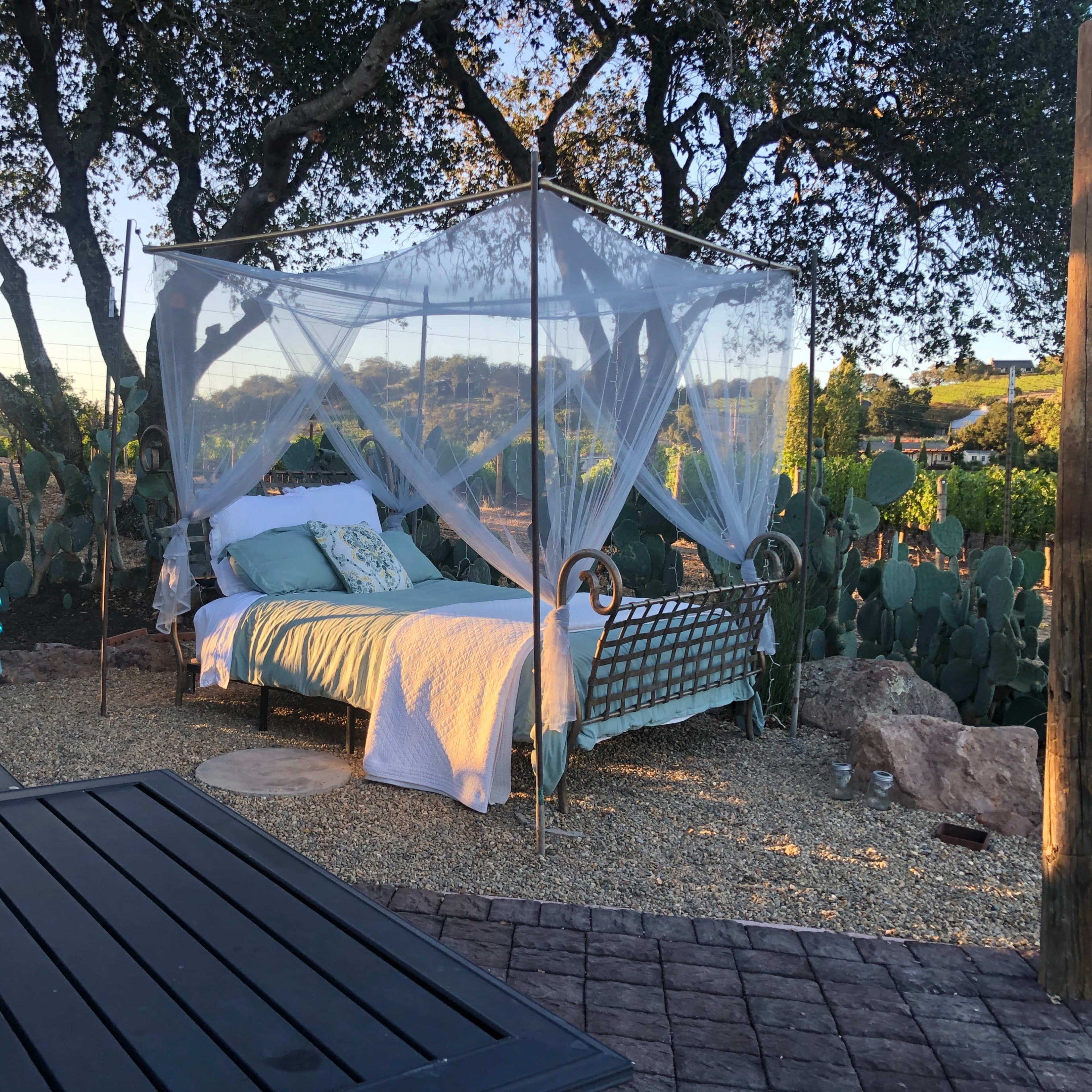 A canopied bed is set in a garden surrounded by cacti, with a table and decorative glassware nearby.