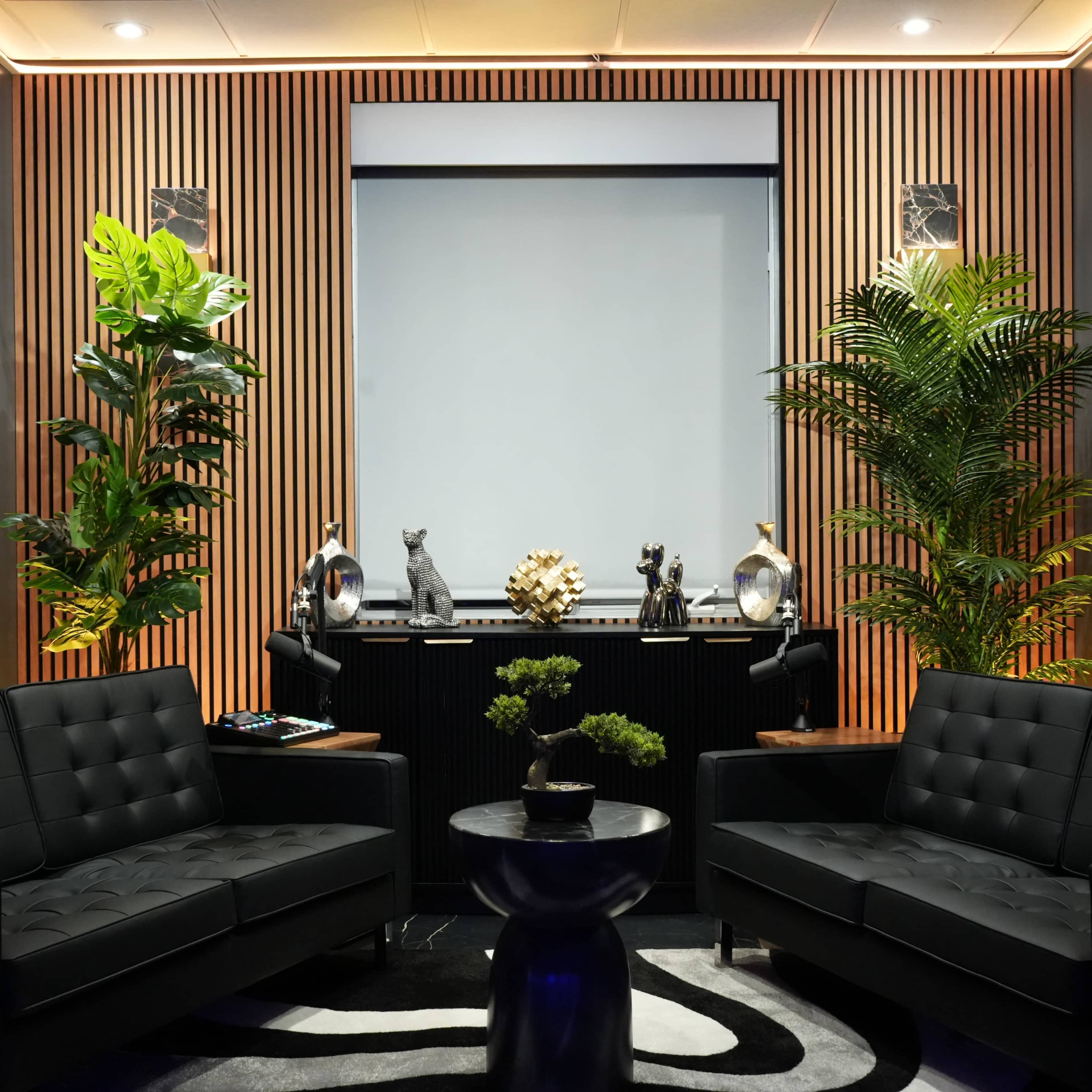 Luxe Lounge Video Podcast Studio Image in Potomac Falls, Cascades, VA