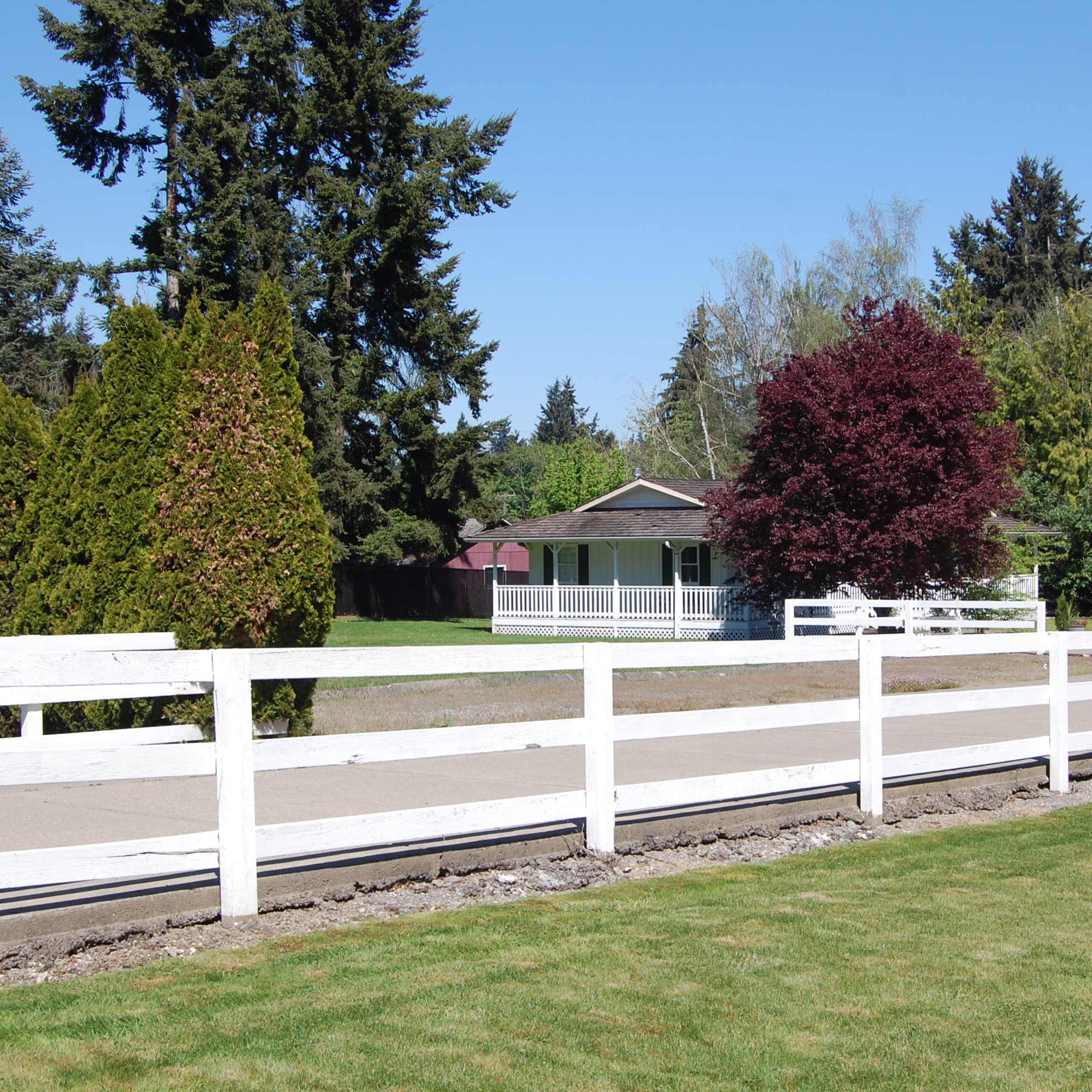 A white fence lines a grassy area in front of a single-story house surrounded by trees and shrubs.